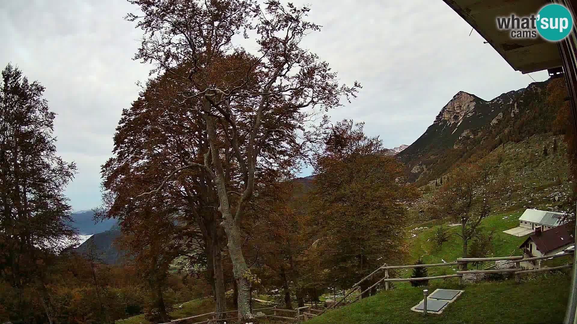 Planina Razor Bergütte Webcam (1315) | Blick auf Tolminski Migovec