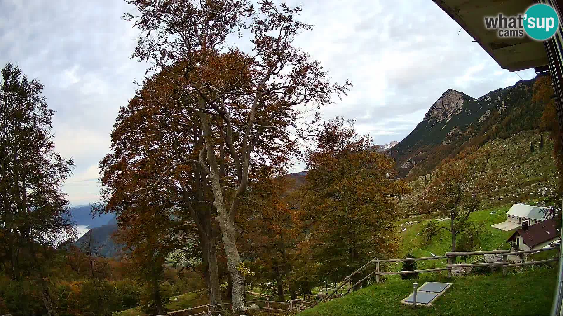 Cámara en vivo de la cabaña de montaña Planina Razor (1315) | vista hacia Tolminski Migovec