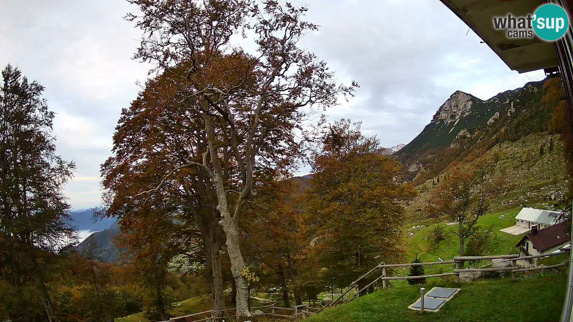 Cámara en vivo de la cabaña de montaña Planina Razor (1315) | vista hacia Tolminski Migovec