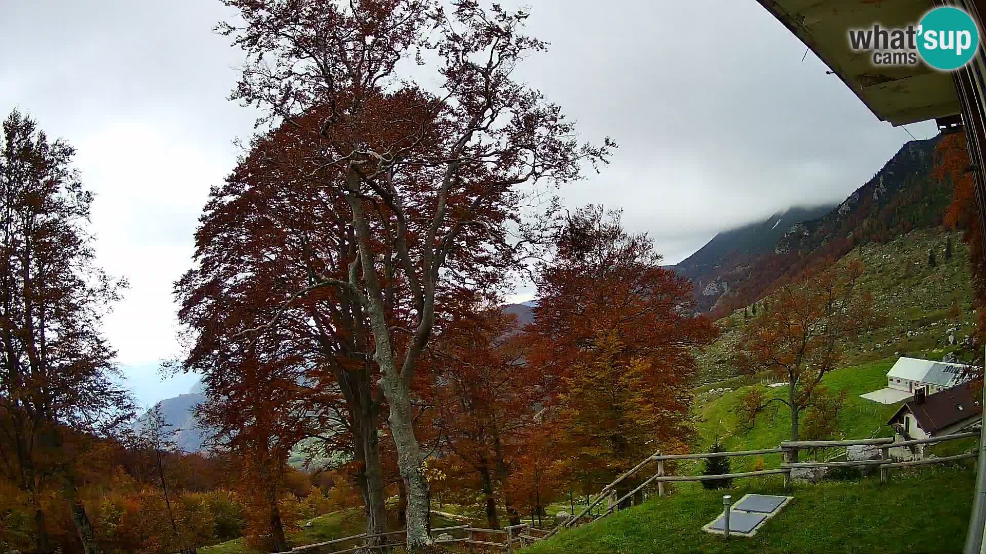 Refuge de la montagne Planina Razor caméra en direct (1315) | vue sur Tolminski Migovec