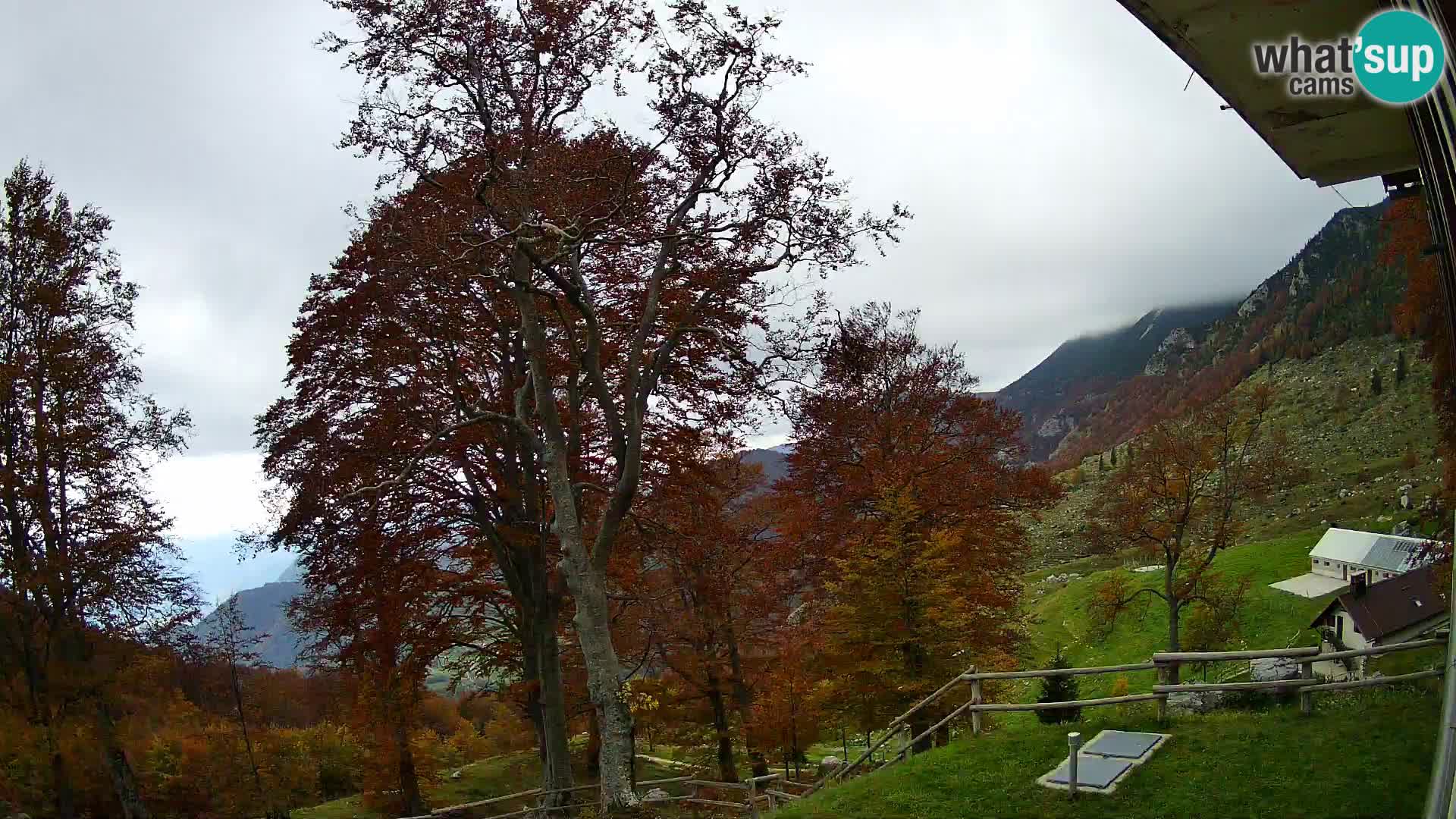 Refuge de la montagne Planina Razor caméra en direct (1315) | vue sur Tolminski Migovec