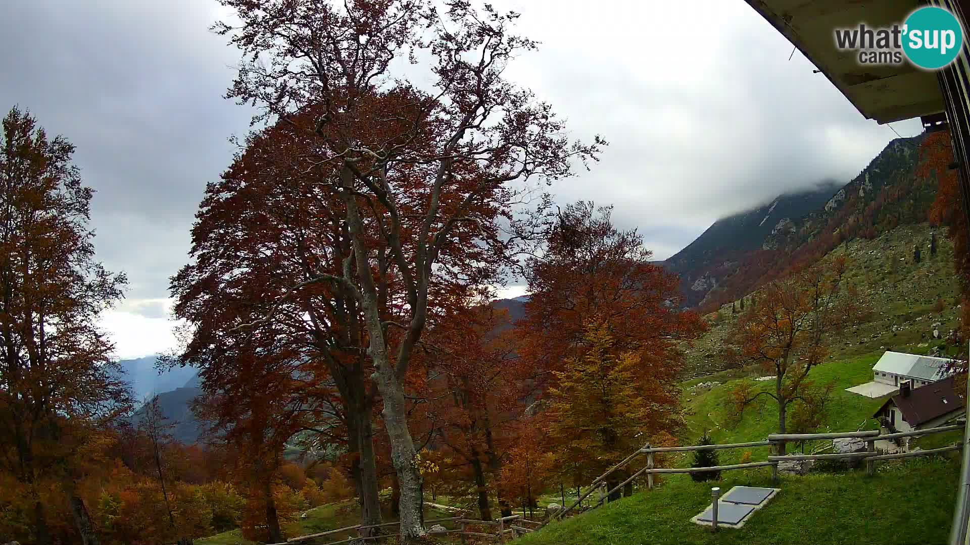 Koča na Planini Razor spletna kamera (1315) | Pogled na Tolminski Migovec