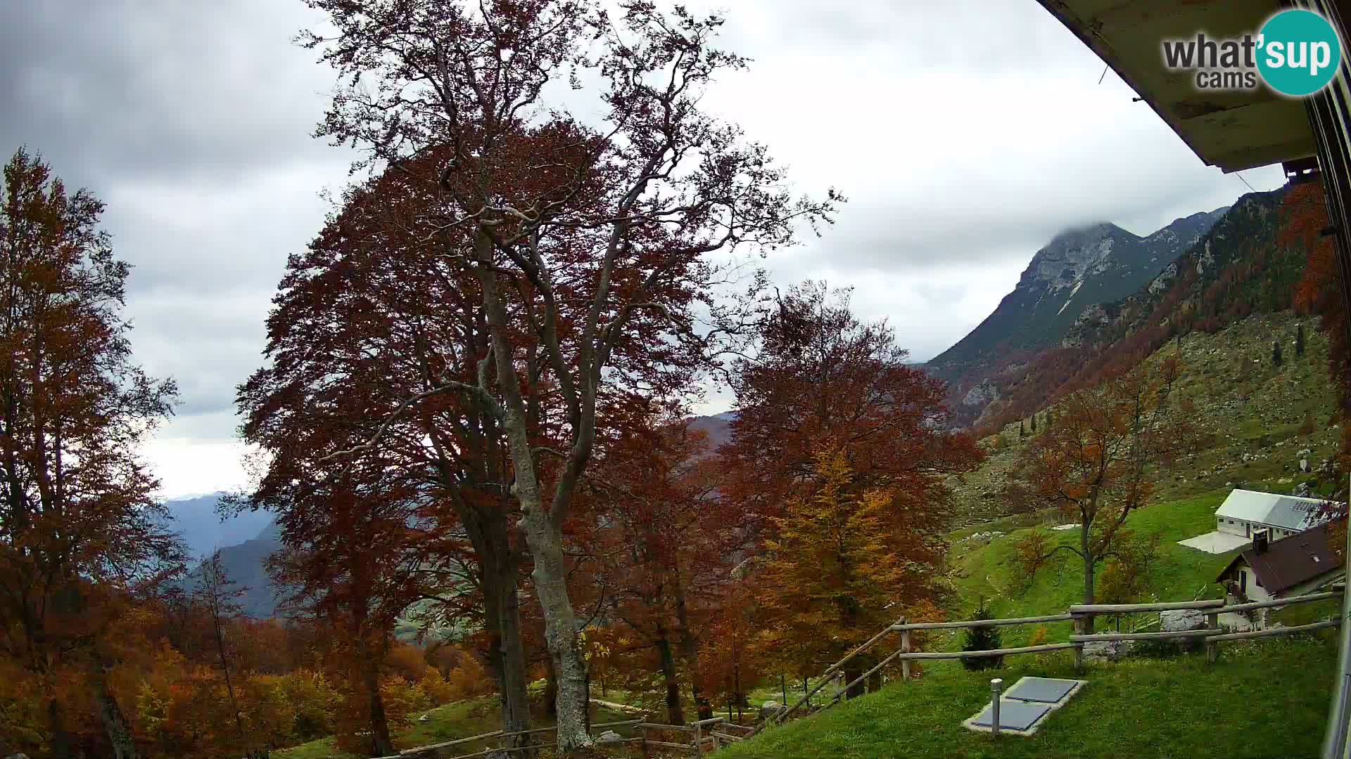 Planina Razor Mountain Hut live cam (1315) | view to Tolminski Migovec