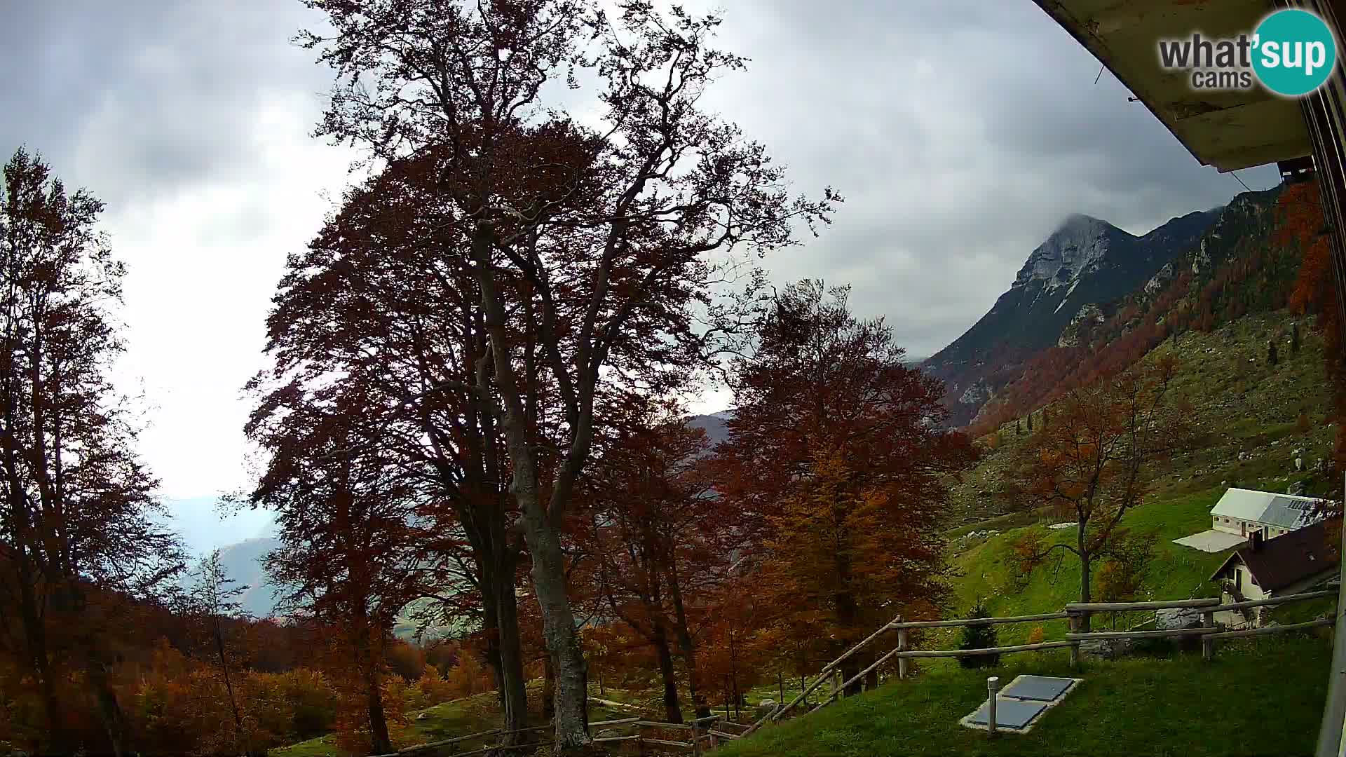 Planina Razor Bergütte Webcam (1315) | Blick auf Tolminski Migovec