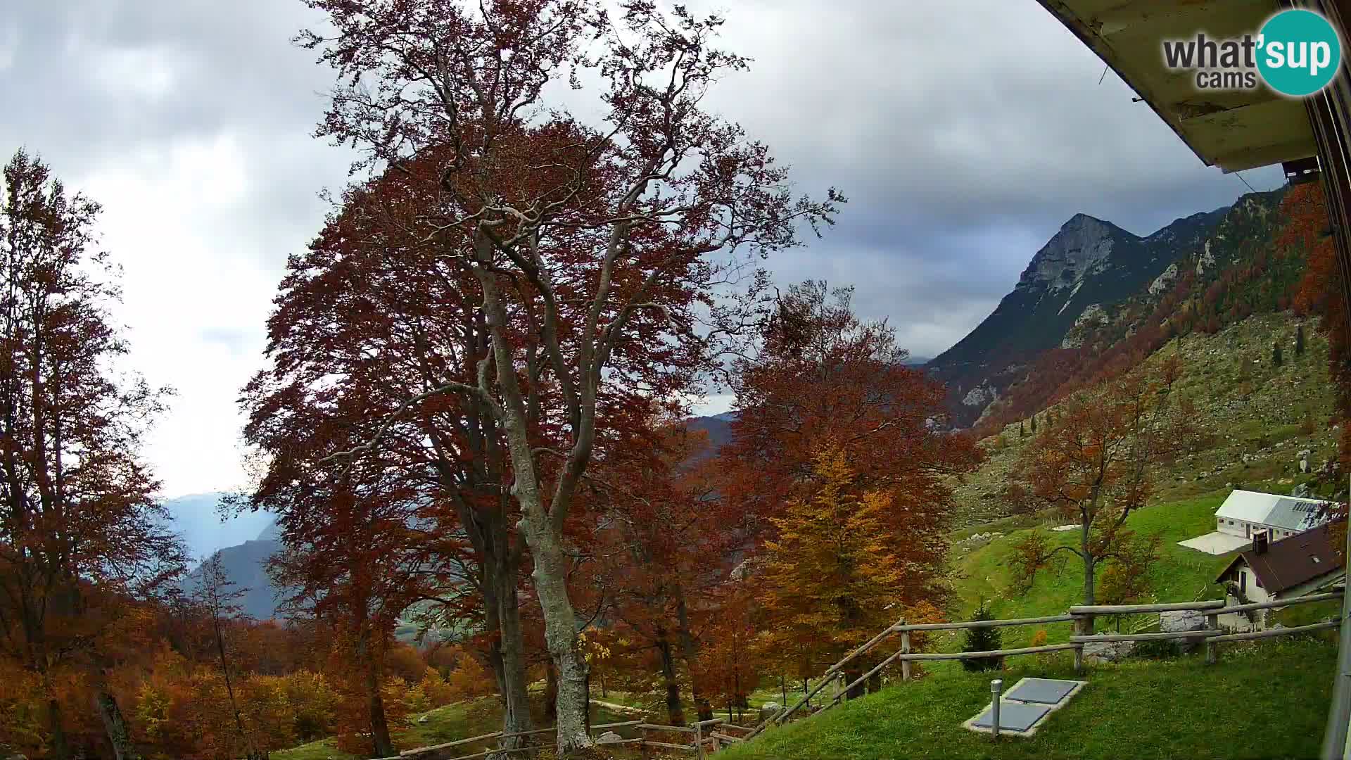 Cámara en vivo de la cabaña de montaña Planina Razor (1315) | vista hacia Tolminski Migovec