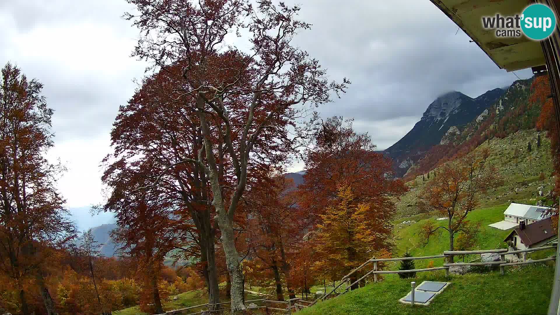 Baita di montagna Planina Razor webcam (1315) | vista su Tolminski Migovec