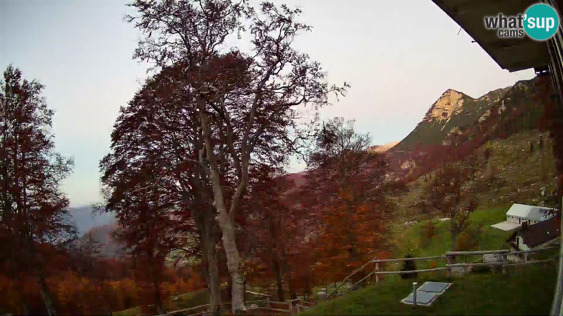 Refuge de la montagne Planina Razor caméra en direct (1315) | vue sur Tolminski Migovec