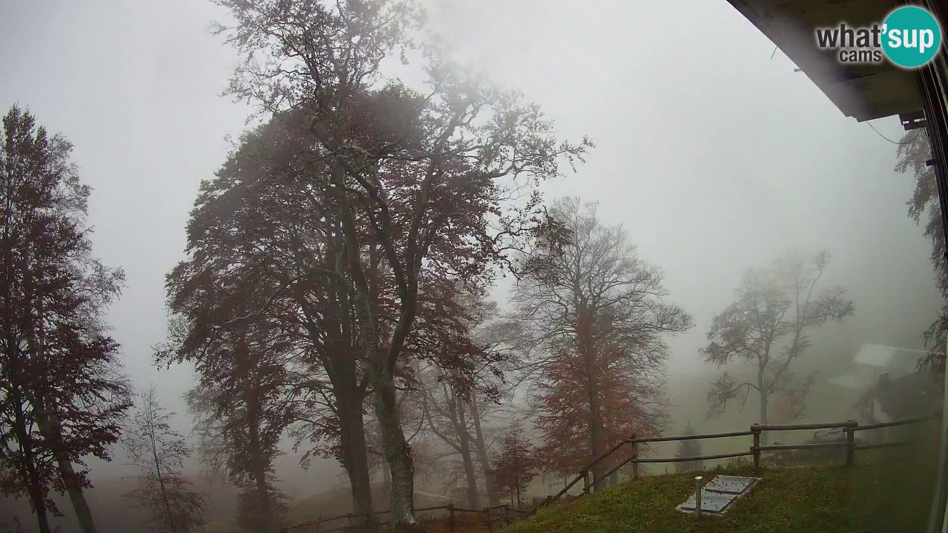Refuge de la montagne Planina Razor caméra en direct (1315) | vue sur Tolminski Migovec