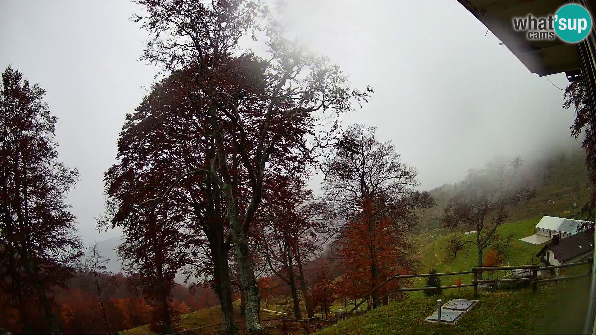 Baita di montagna Planina Razor webcam (1315) | vista su Tolminski Migovec