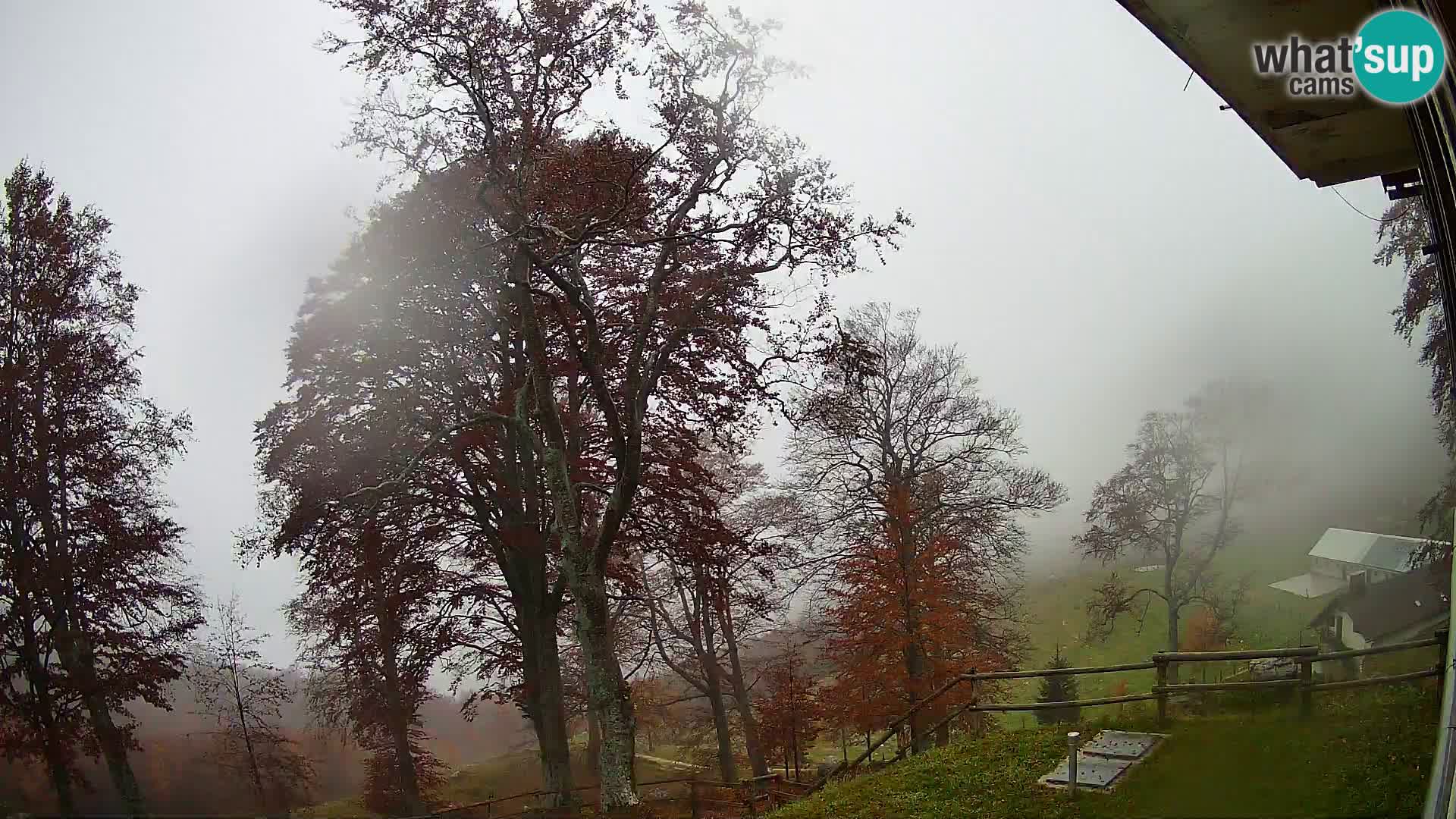 Baita di montagna Planina Razor webcam (1315) | vista su Tolminski Migovec