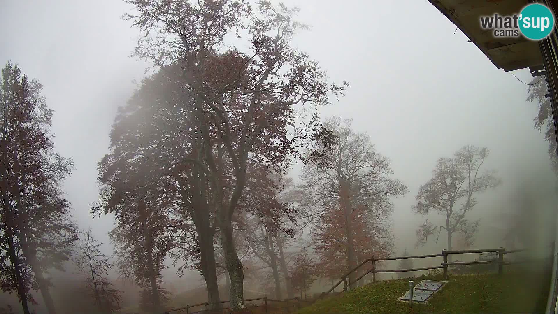 Planina Razor Mountain Hut live cam (1315) | view to Tolminski Migovec