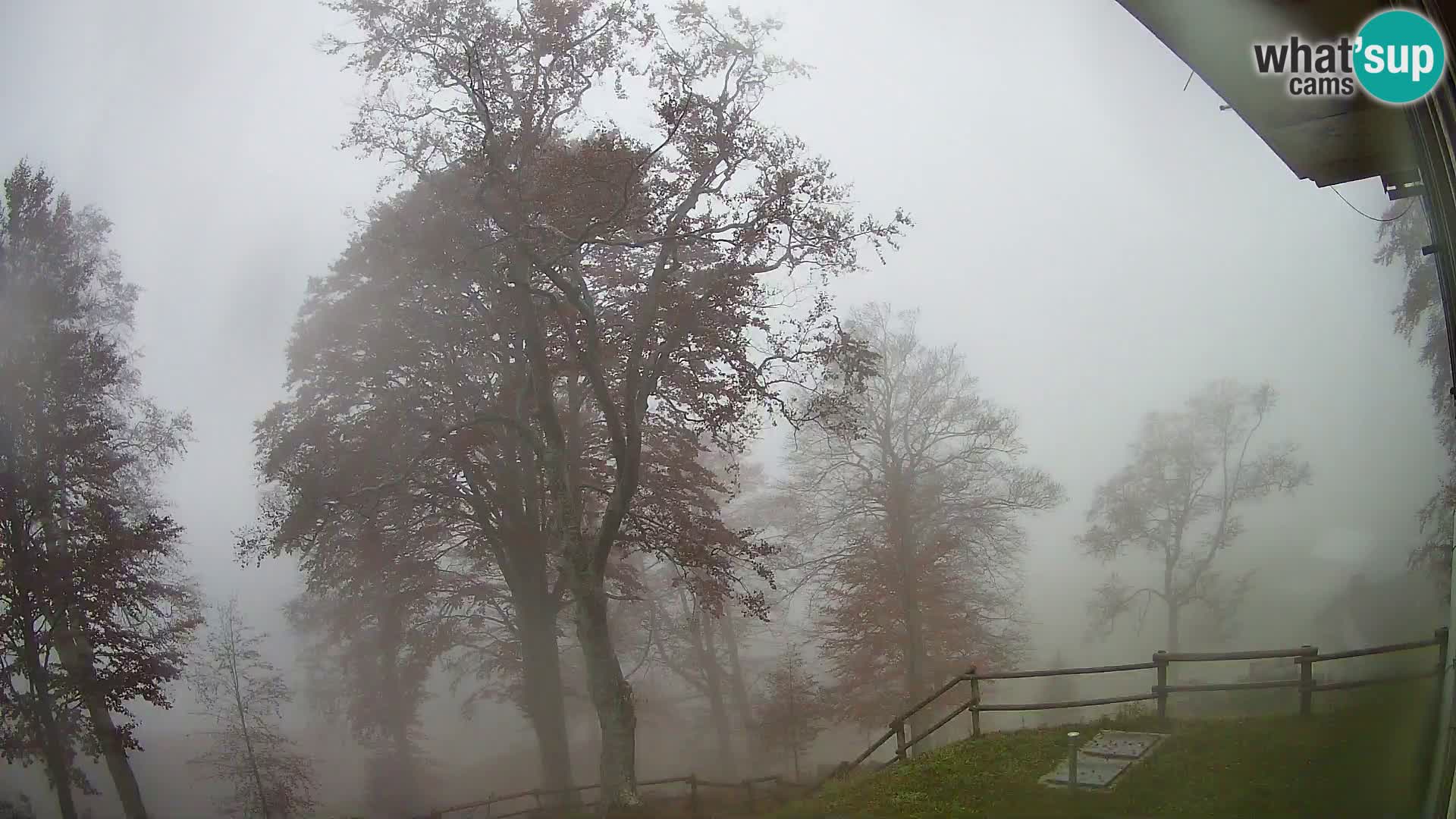 Baita di montagna Planina Razor webcam (1315) | vista su Tolminski Migovec