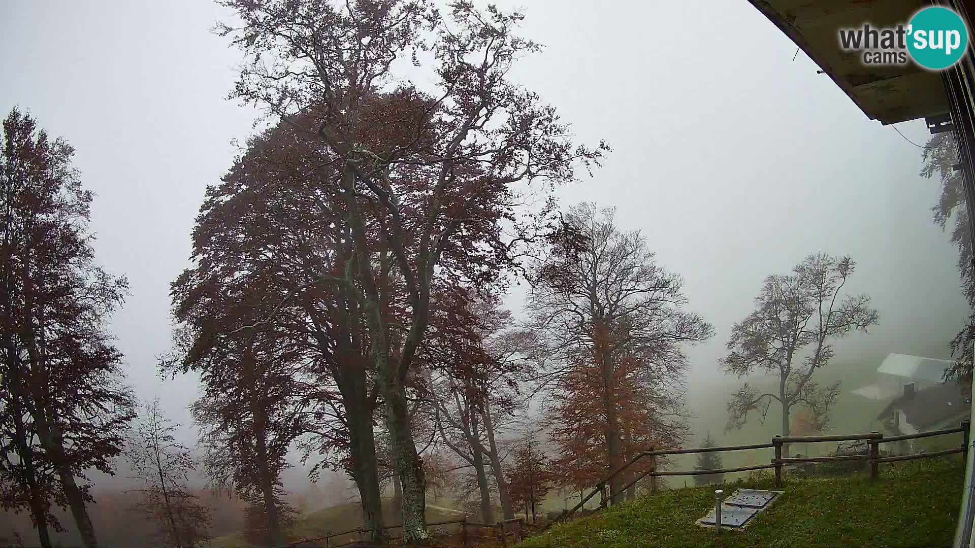Planina Razor Bergütte Webcam (1315) | Blick auf Tolminski Migovec