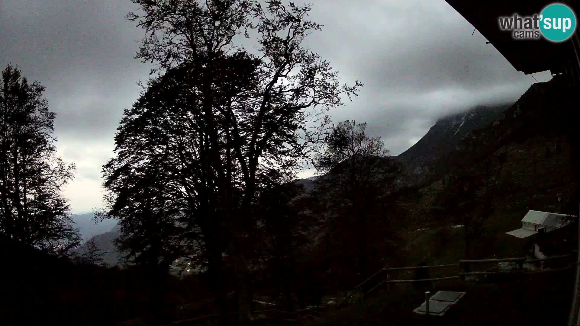 Planina Razor Bergütte Webcam (1315) | Blick auf Tolminski Migovec