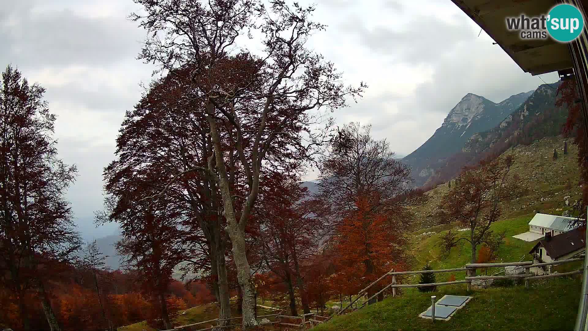 Planina Razor Bergütte Webcam (1315) | Blick auf Tolminski Migovec