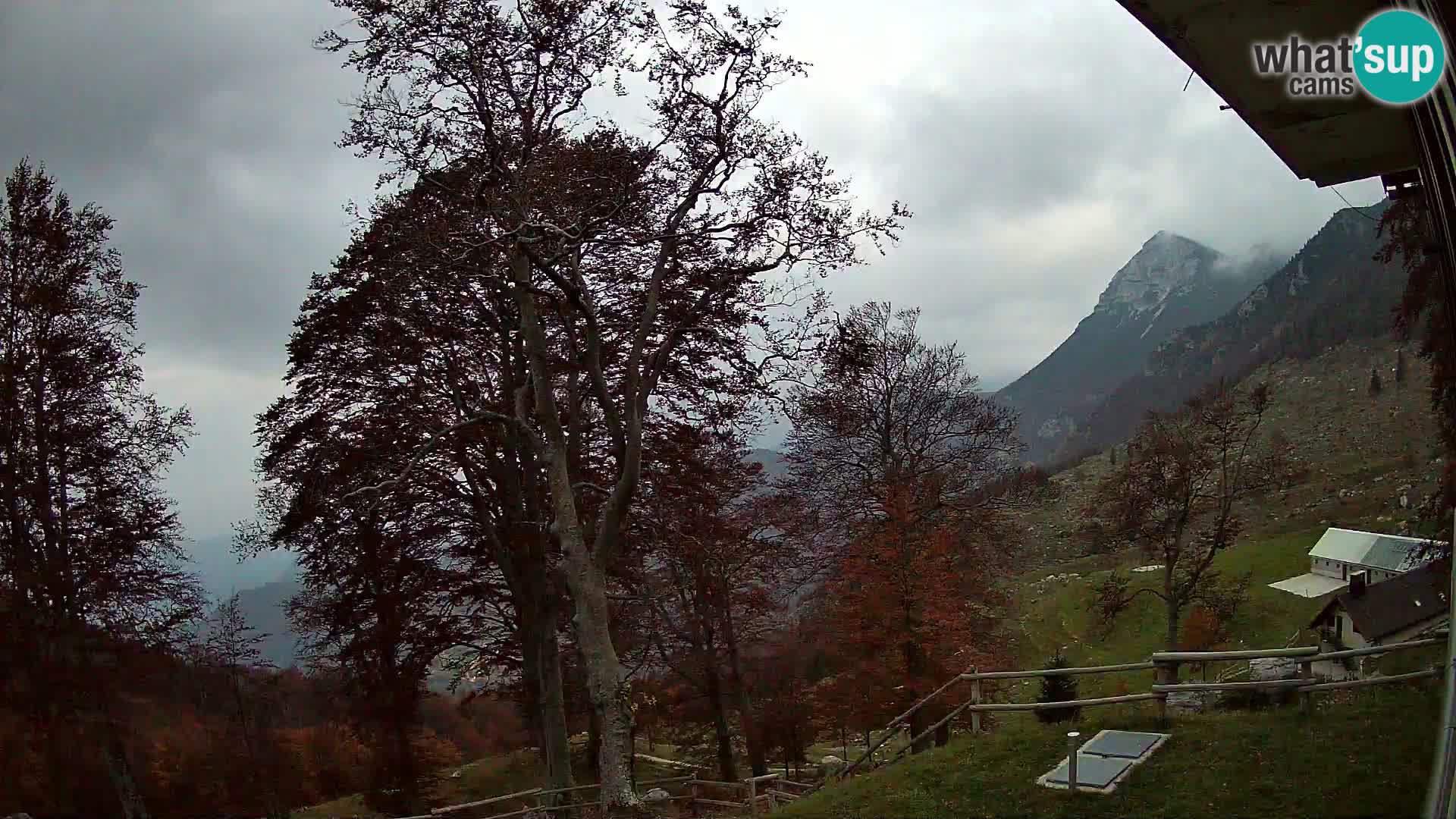 Planina Razor Bergütte Webcam (1315) | Blick auf Tolminski Migovec