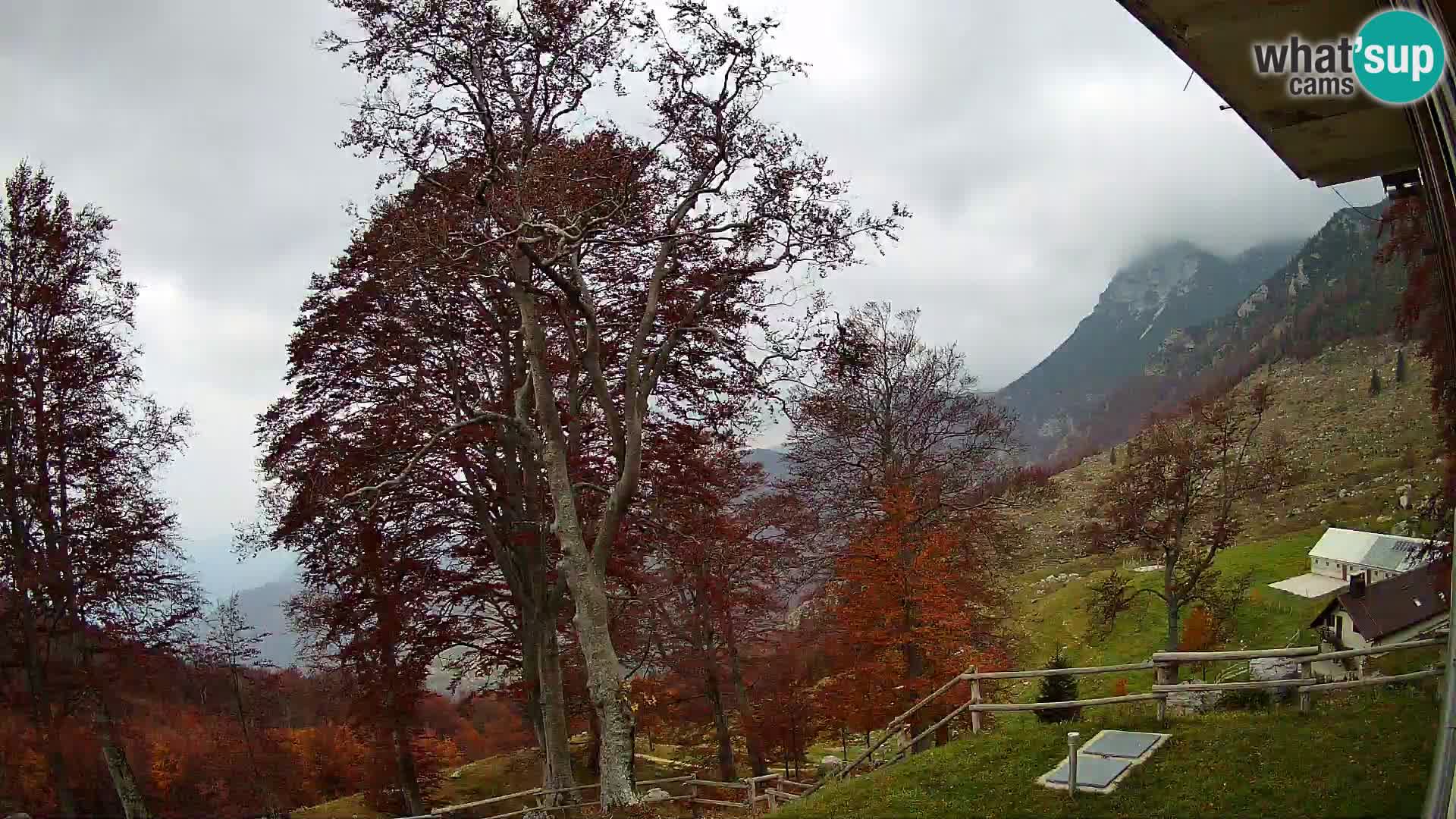 Planina Razor Mountain Hut live cam (1315) | view to Tolminski Migovec