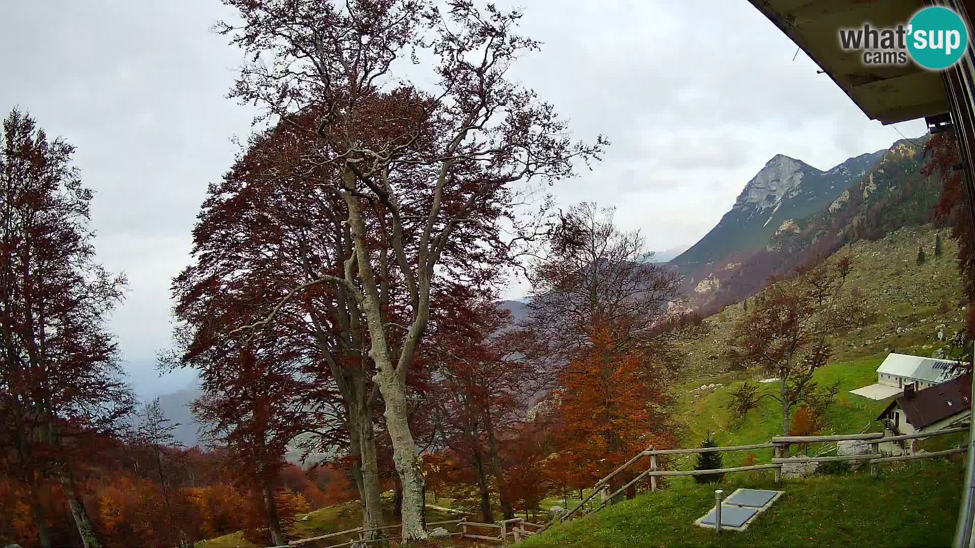 Planina Razor Mountain Hut live cam (1315) | view to Tolminski Migovec