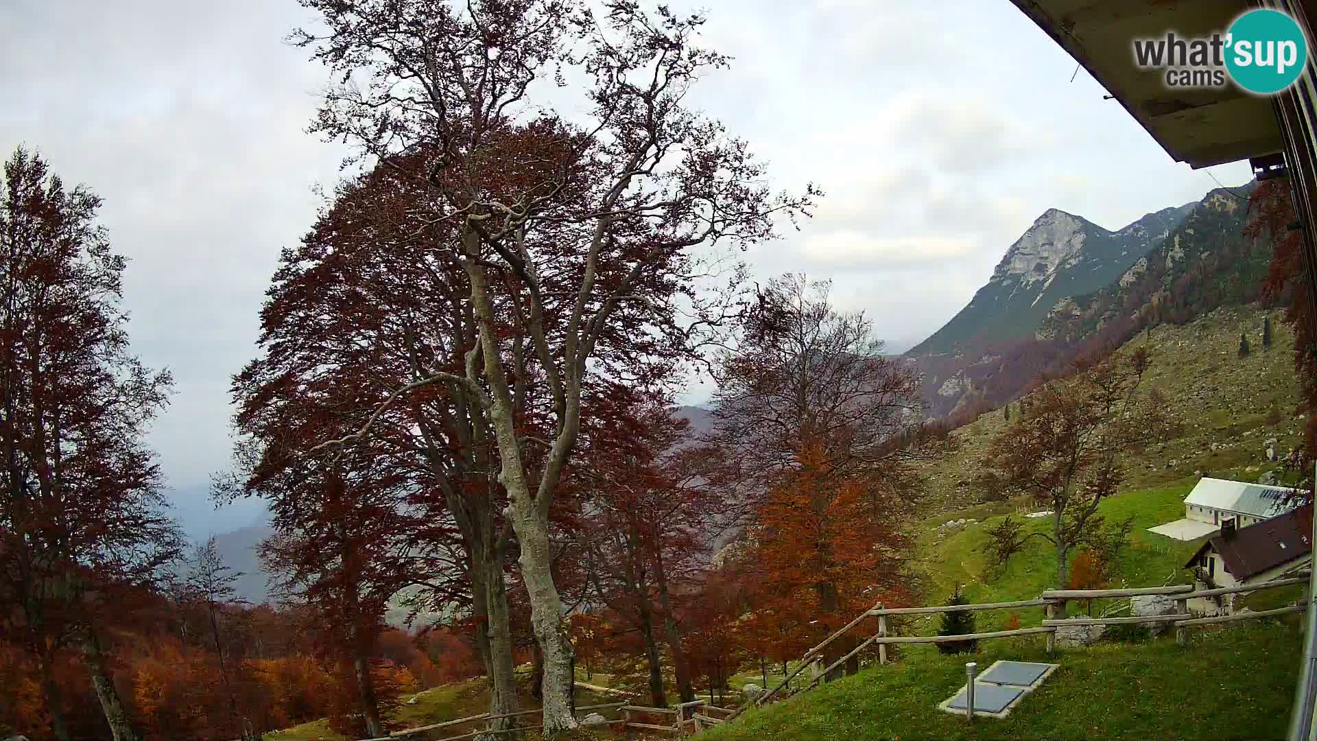 Planina Razor Mountain Hut live cam (1315) | view to Tolminski Migovec