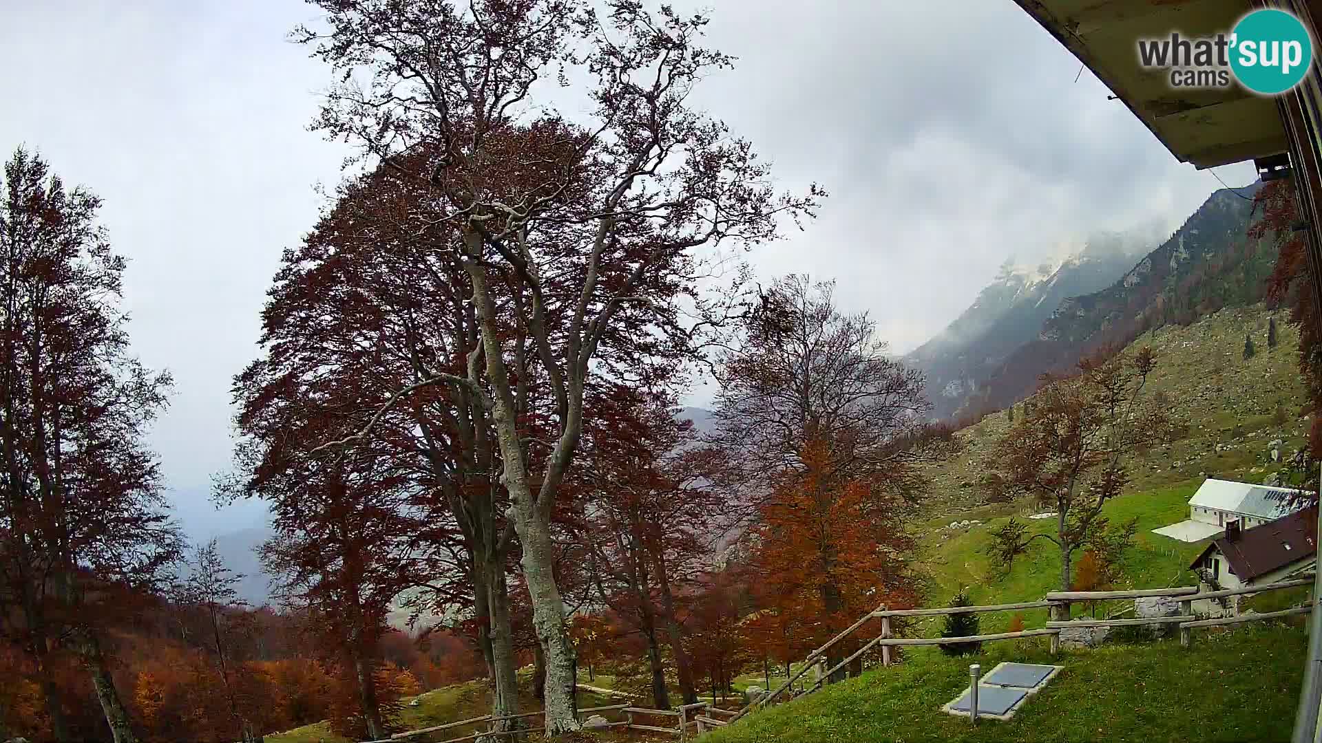 Planina Razor Bergütte Webcam (1315) | Blick auf Tolminski Migovec