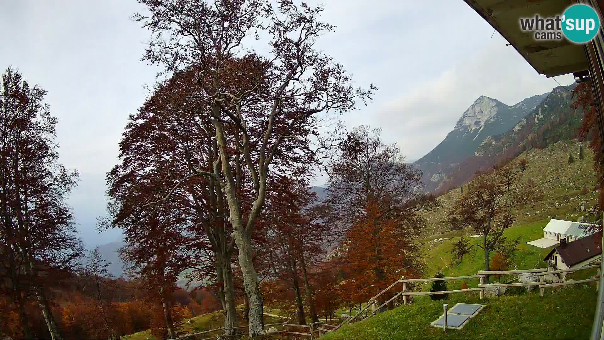 Refuge de la montagne Planina Razor caméra en direct (1315) | vue sur Tolminski Migovec