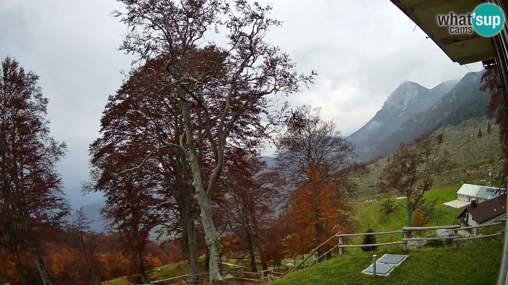 Planina Razor Mountain Hut live cam (1315) | view to Tolminski Migovec