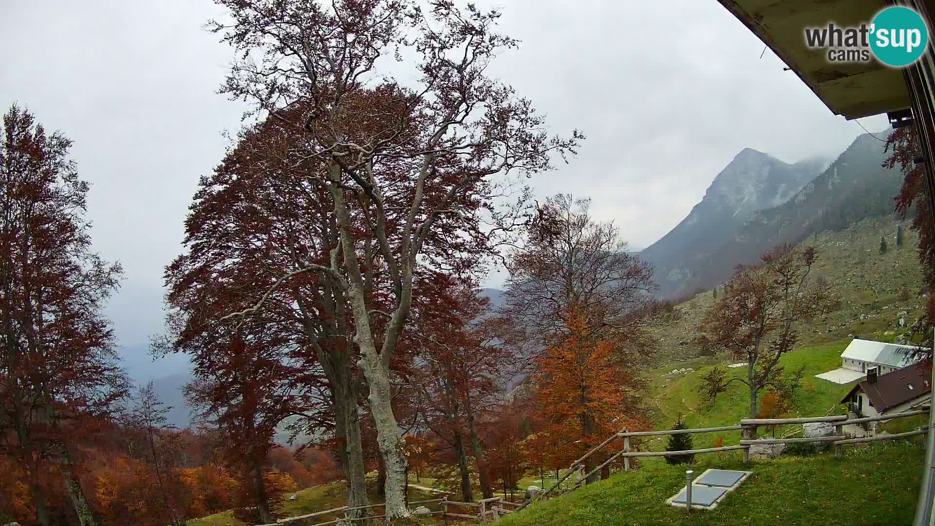 Planina Razor Bergütte Webcam (1315) | Blick auf Tolminski Migovec