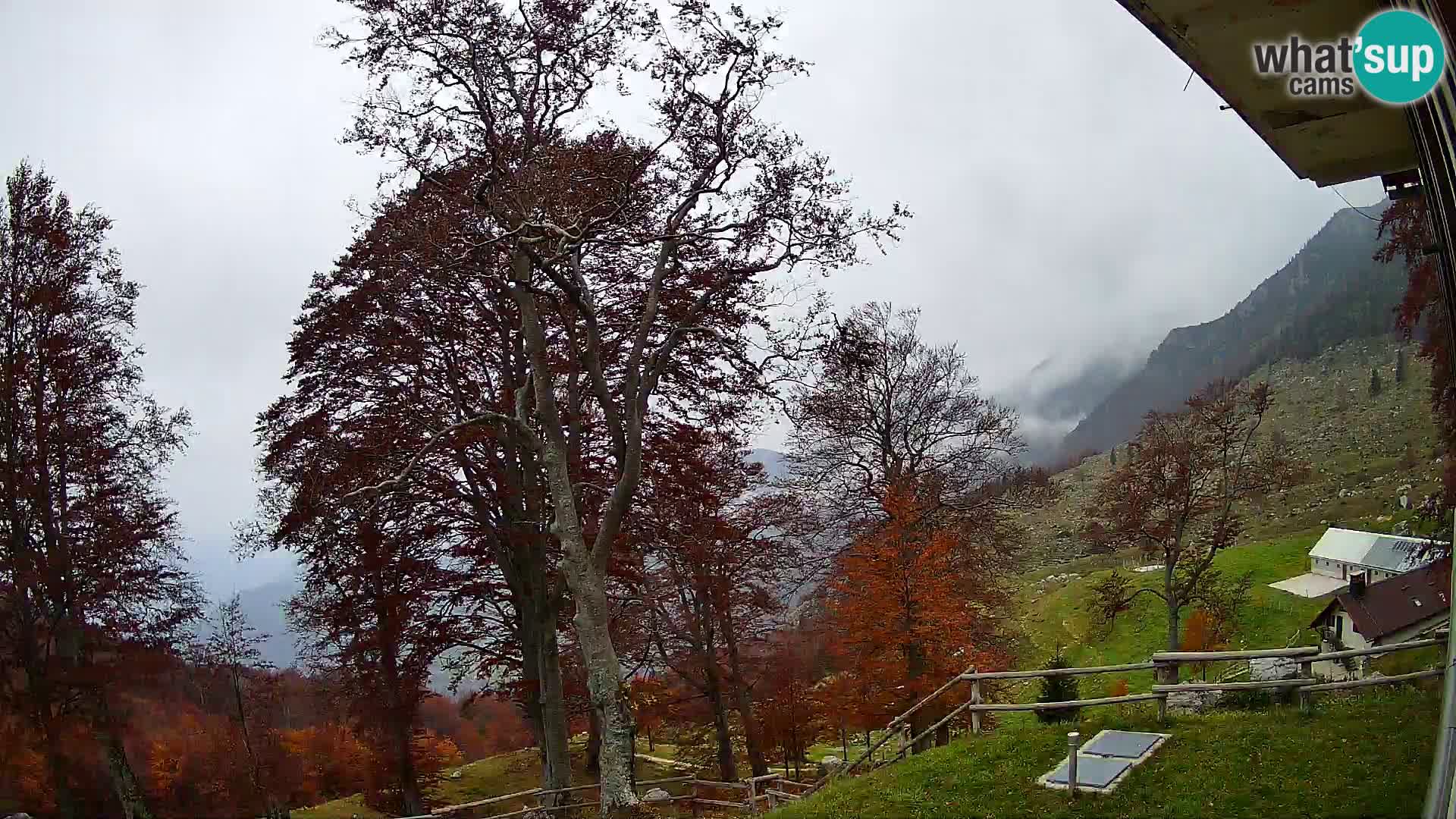 Baita di montagna Planina Razor webcam (1315) | vista su Tolminski Migovec