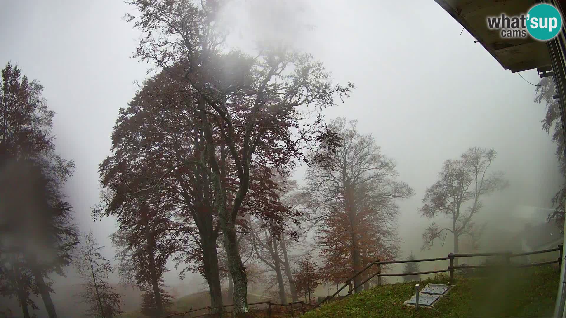 Planina Razor Mountain Hut live cam (1315) | view to Tolminski Migovec