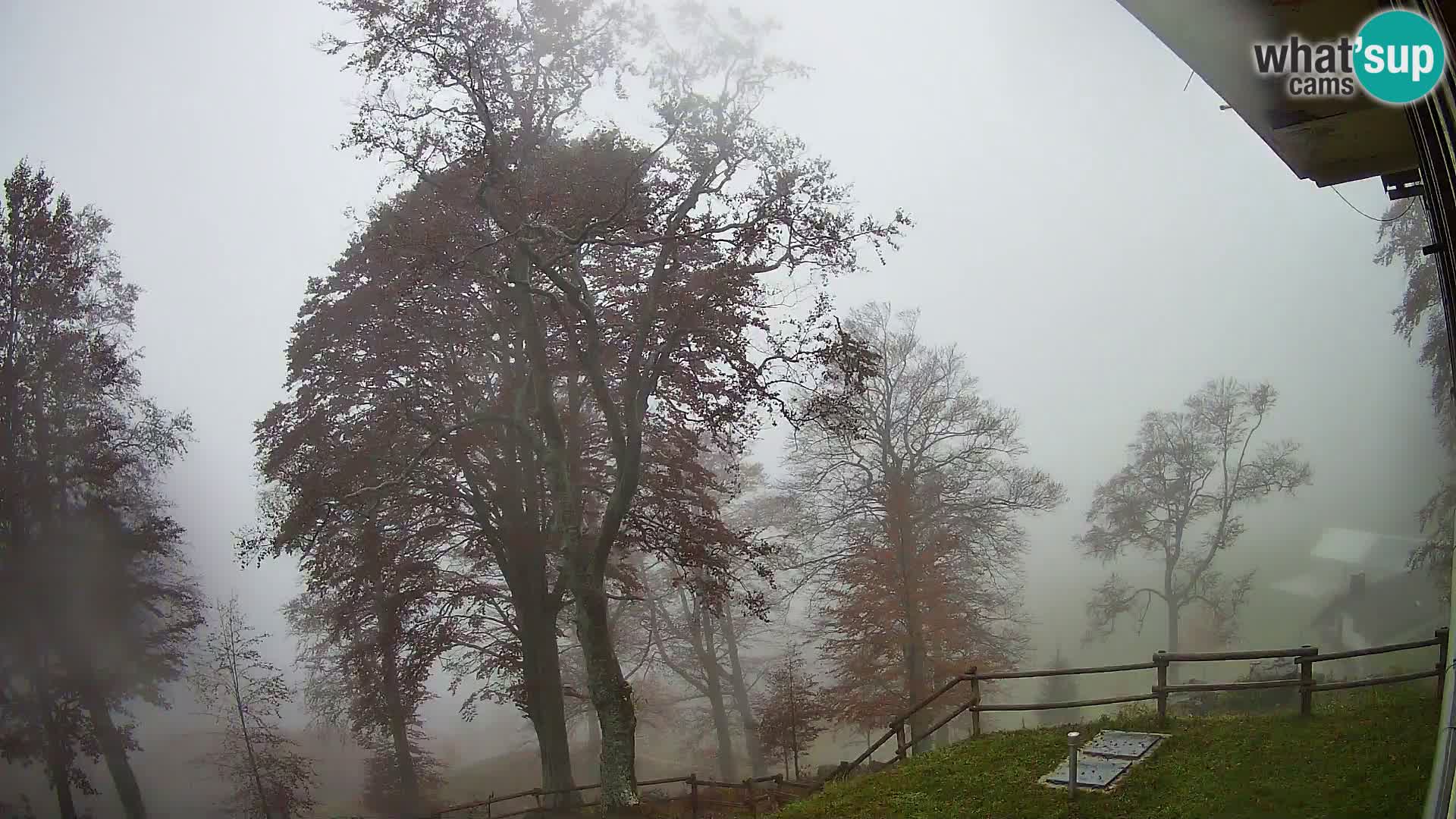 Planina Razor Mountain Hut live cam (1315) | view to Tolminski Migovec