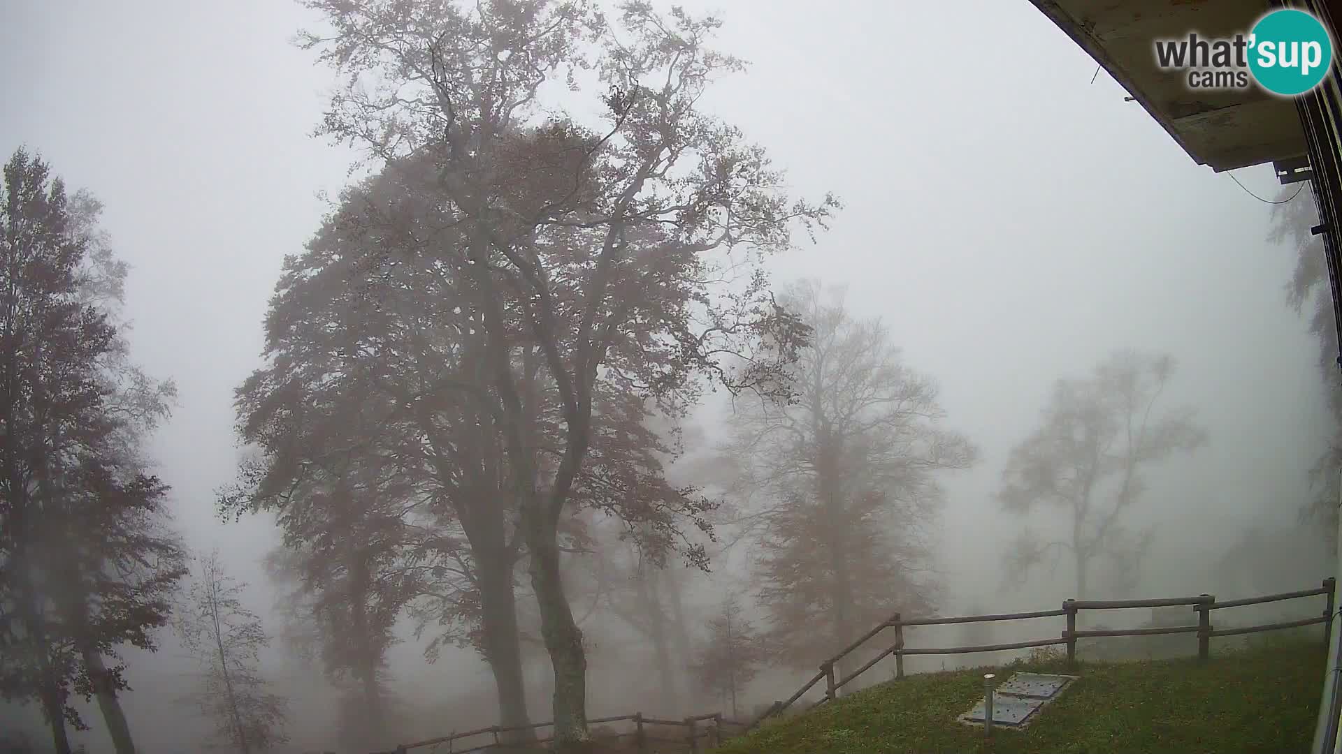 Baita di montagna Planina Razor webcam (1315) | vista su Tolminski Migovec