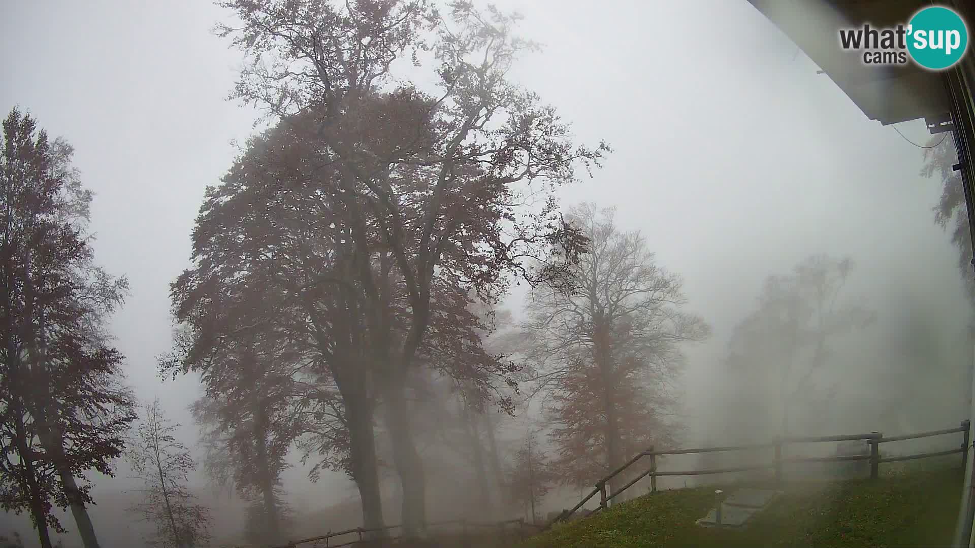 Cámara en vivo de la cabaña de montaña Planina Razor (1315) | vista hacia Tolminski Migovec
