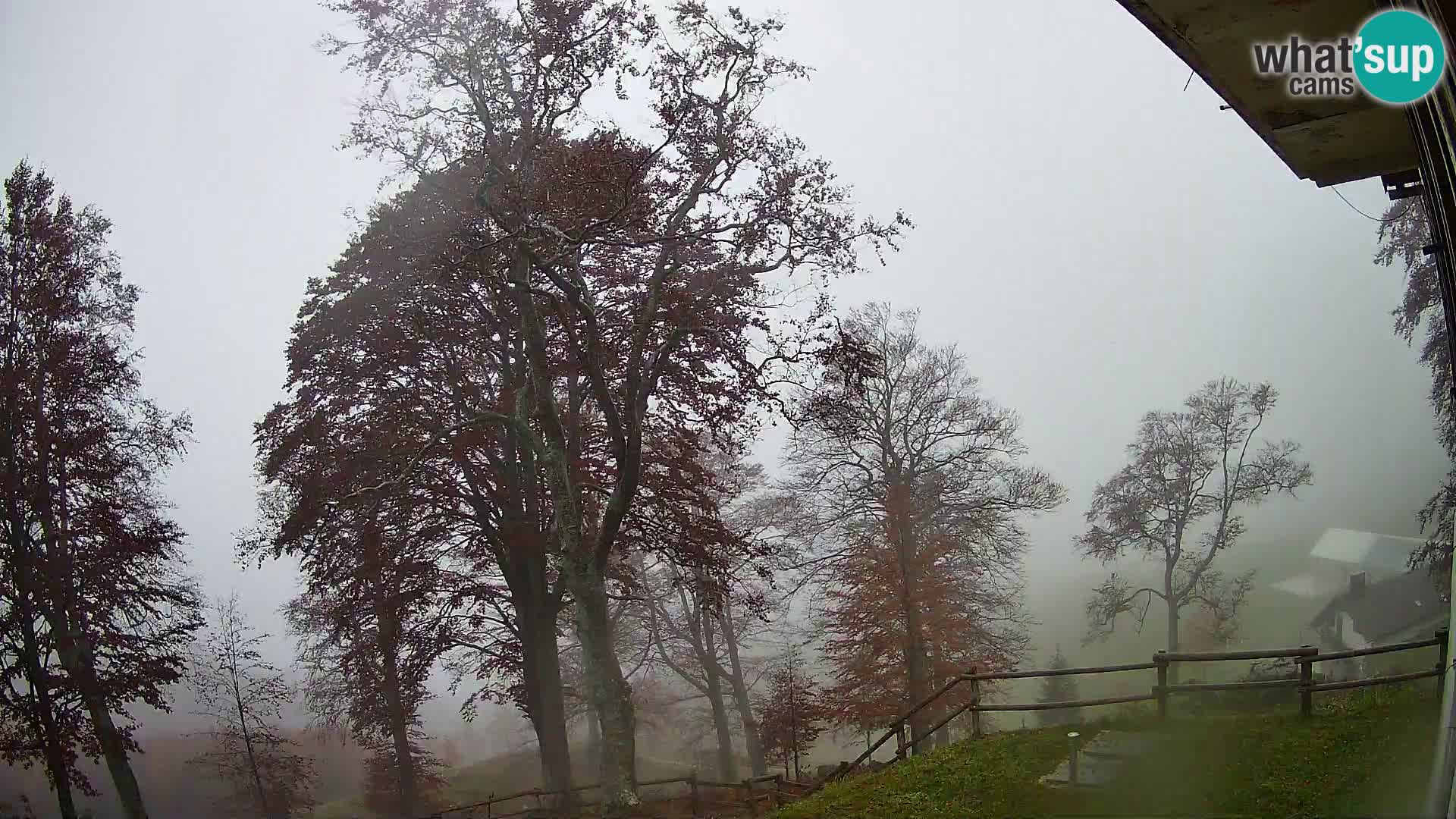 Cámara en vivo de la cabaña de montaña Planina Razor (1315) | vista hacia Tolminski Migovec