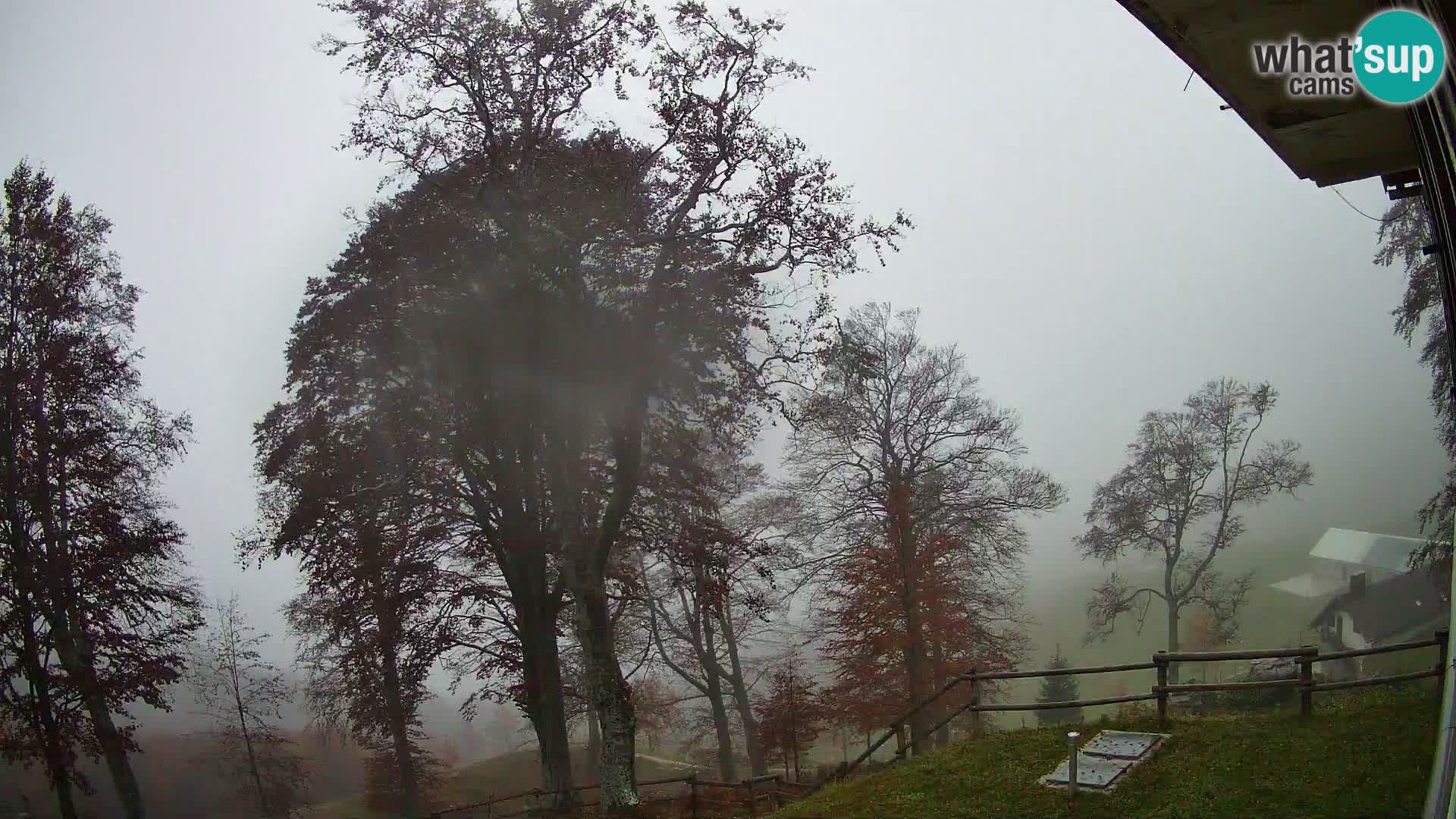 Planina Razor Mountain Hut live cam (1315) | view to Tolminski Migovec