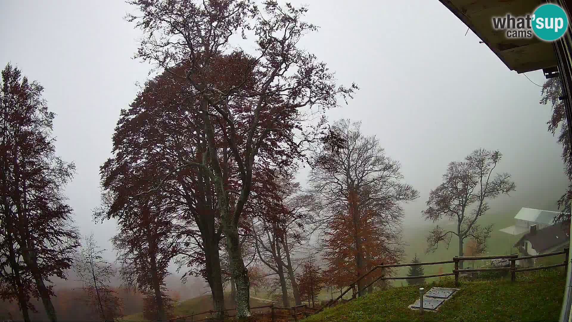 Planina Razor Mountain Hut live cam (1315) | view to Tolminski Migovec