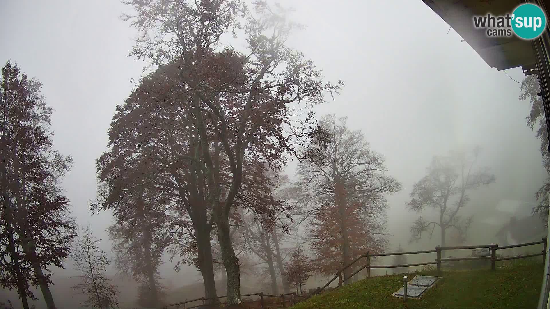 Baita di montagna Planina Razor webcam (1315) | vista su Tolminski Migovec