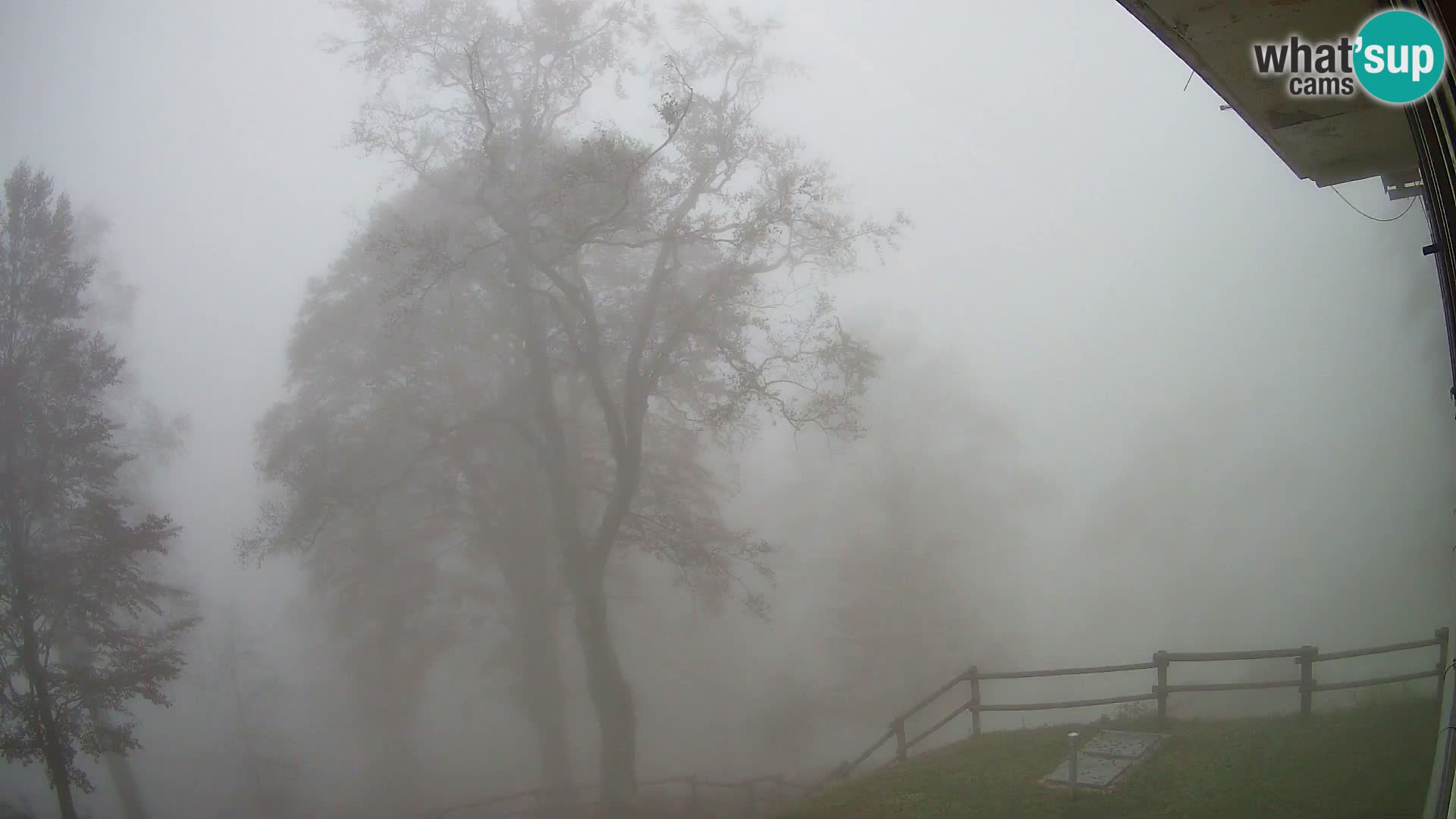 Baita di montagna Planina Razor webcam (1315) | vista su Tolminski Migovec
