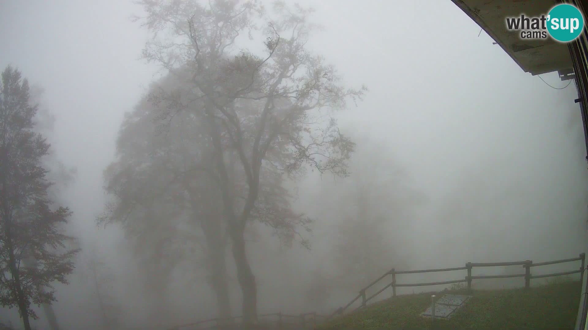 Baita di montagna Planina Razor webcam (1315) | vista su Tolminski Migovec