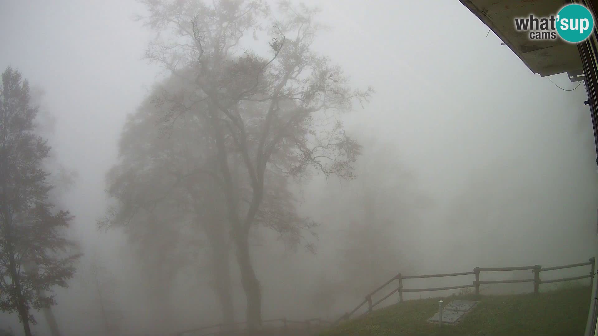 Baita di montagna Planina Razor webcam (1315) | vista su Tolminski Migovec