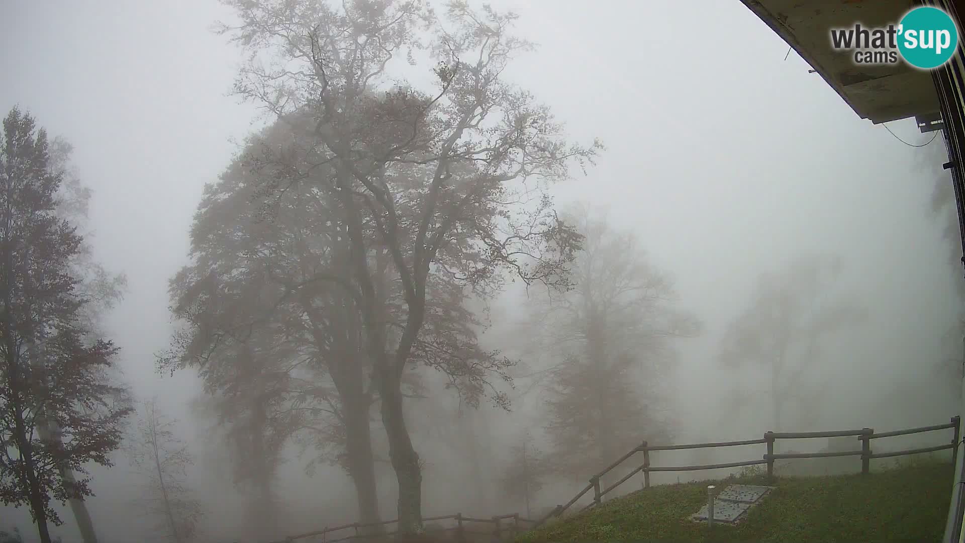 Cámara en vivo de la cabaña de montaña Planina Razor (1315) | vista hacia Tolminski Migovec