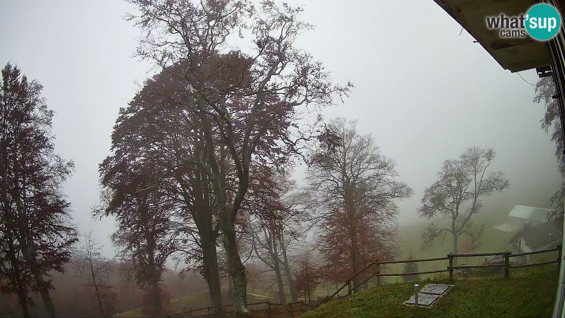 Cámara en vivo de la cabaña de montaña Planina Razor (1315) | vista hacia Tolminski Migovec