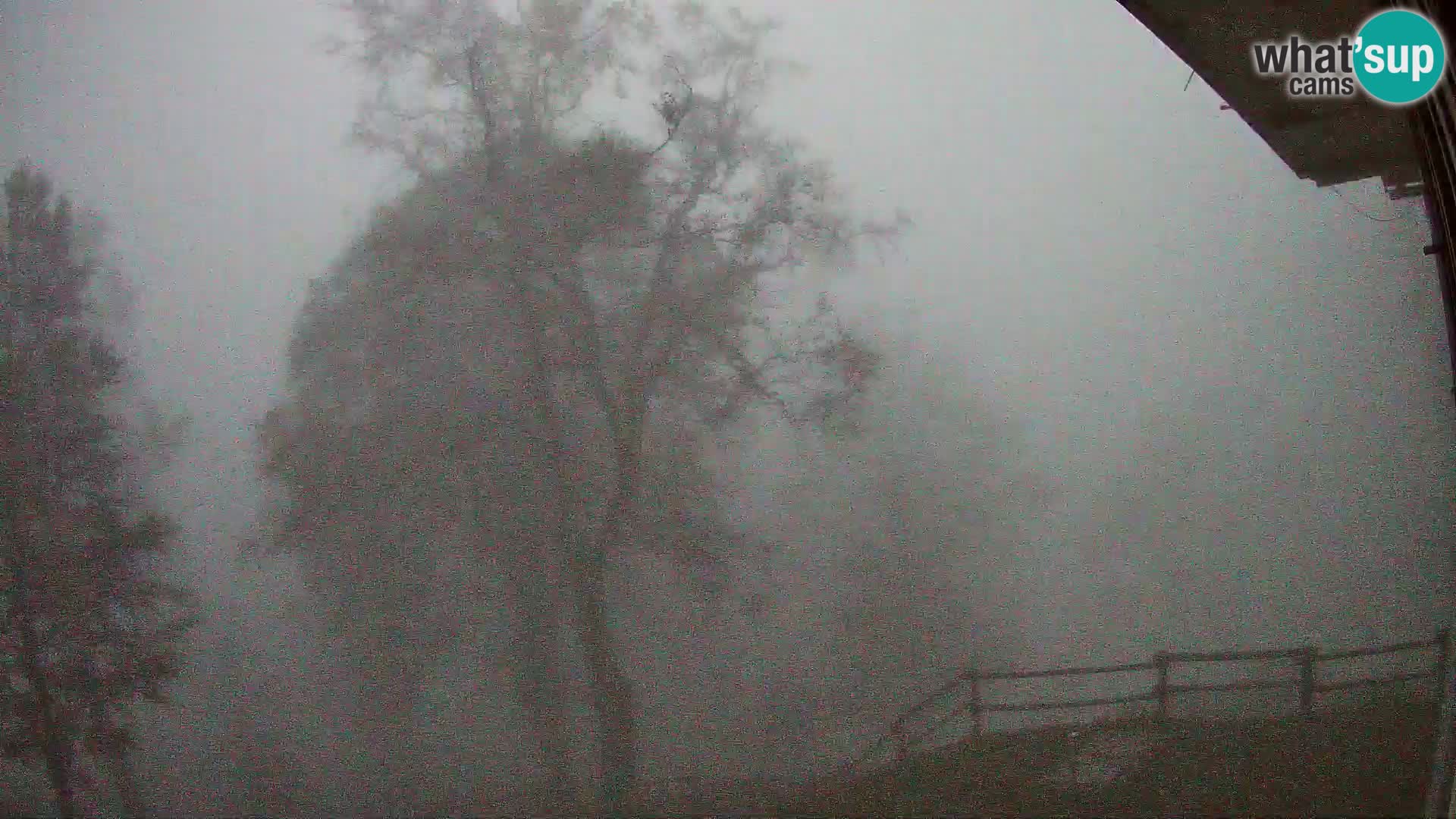 Baita di montagna Planina Razor webcam (1315) | vista su Tolminski Migovec