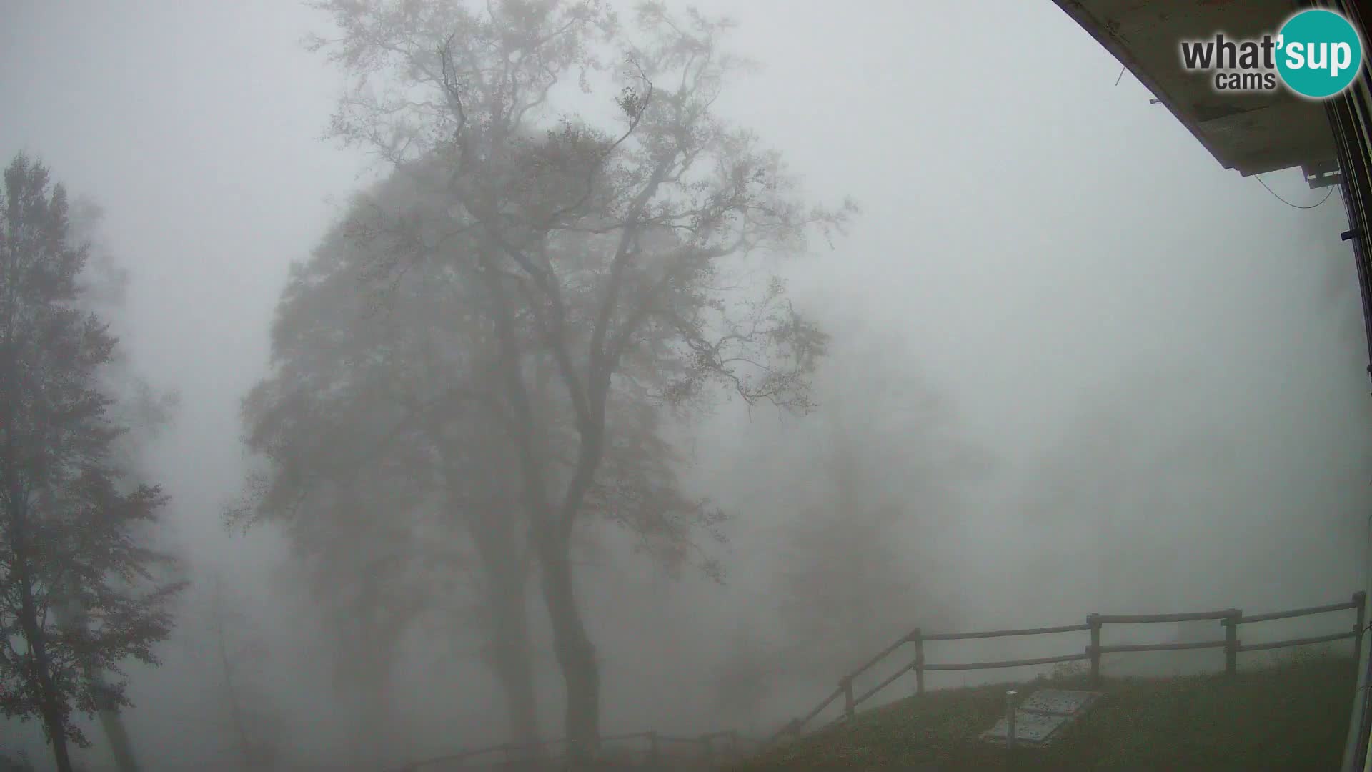 Baita di montagna Planina Razor webcam (1315) | vista su Tolminski Migovec
