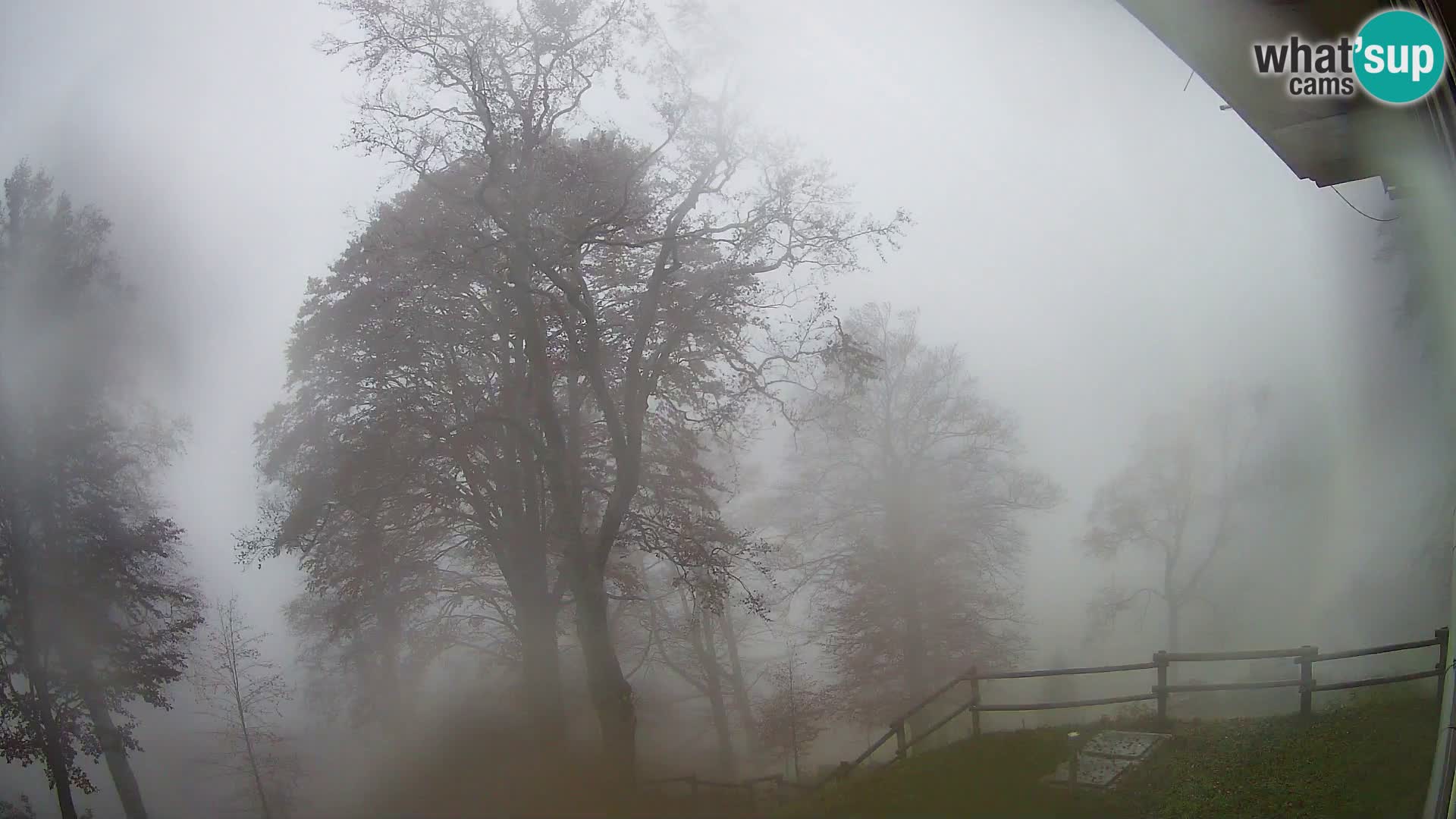 Planina Razor Mountain Hut live cam (1315) | view to Tolminski Migovec