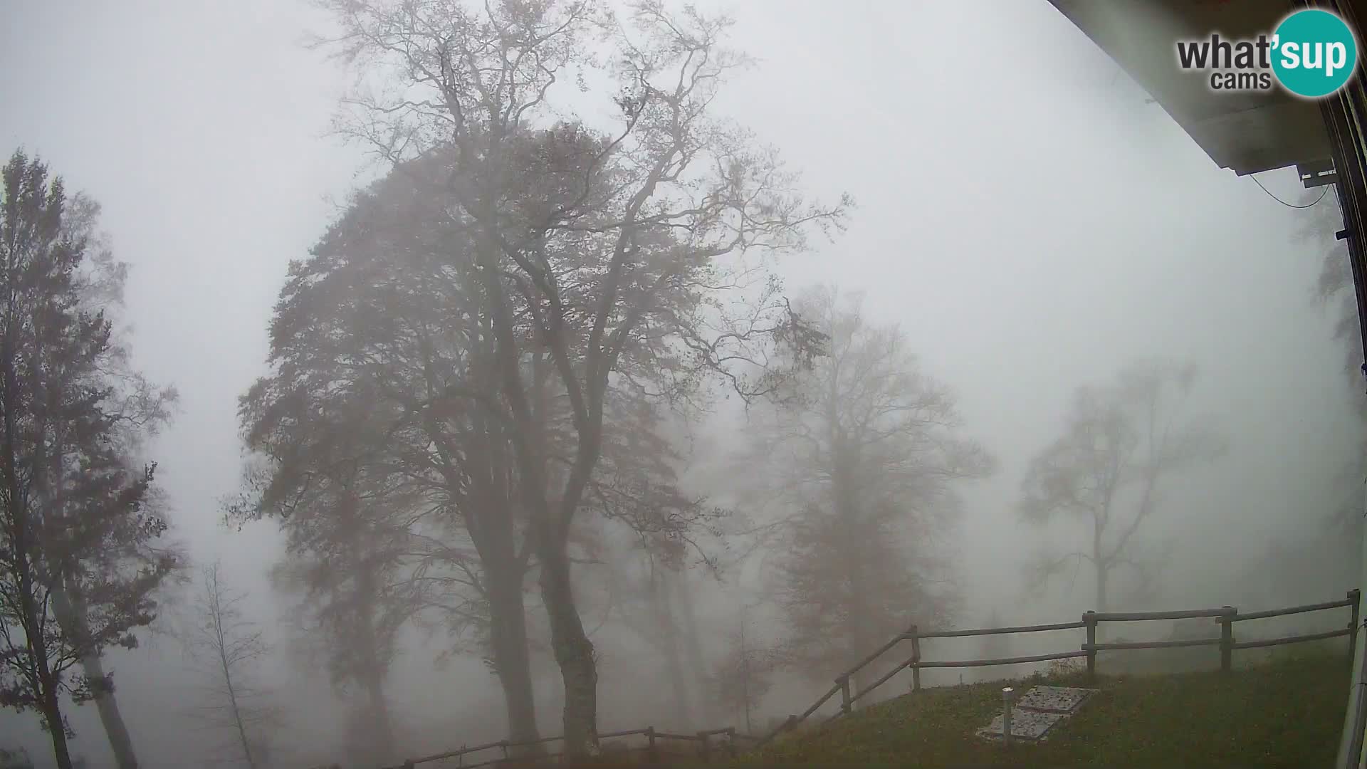Planina Razor Mountain Hut live cam (1315) | view to Tolminski Migovec