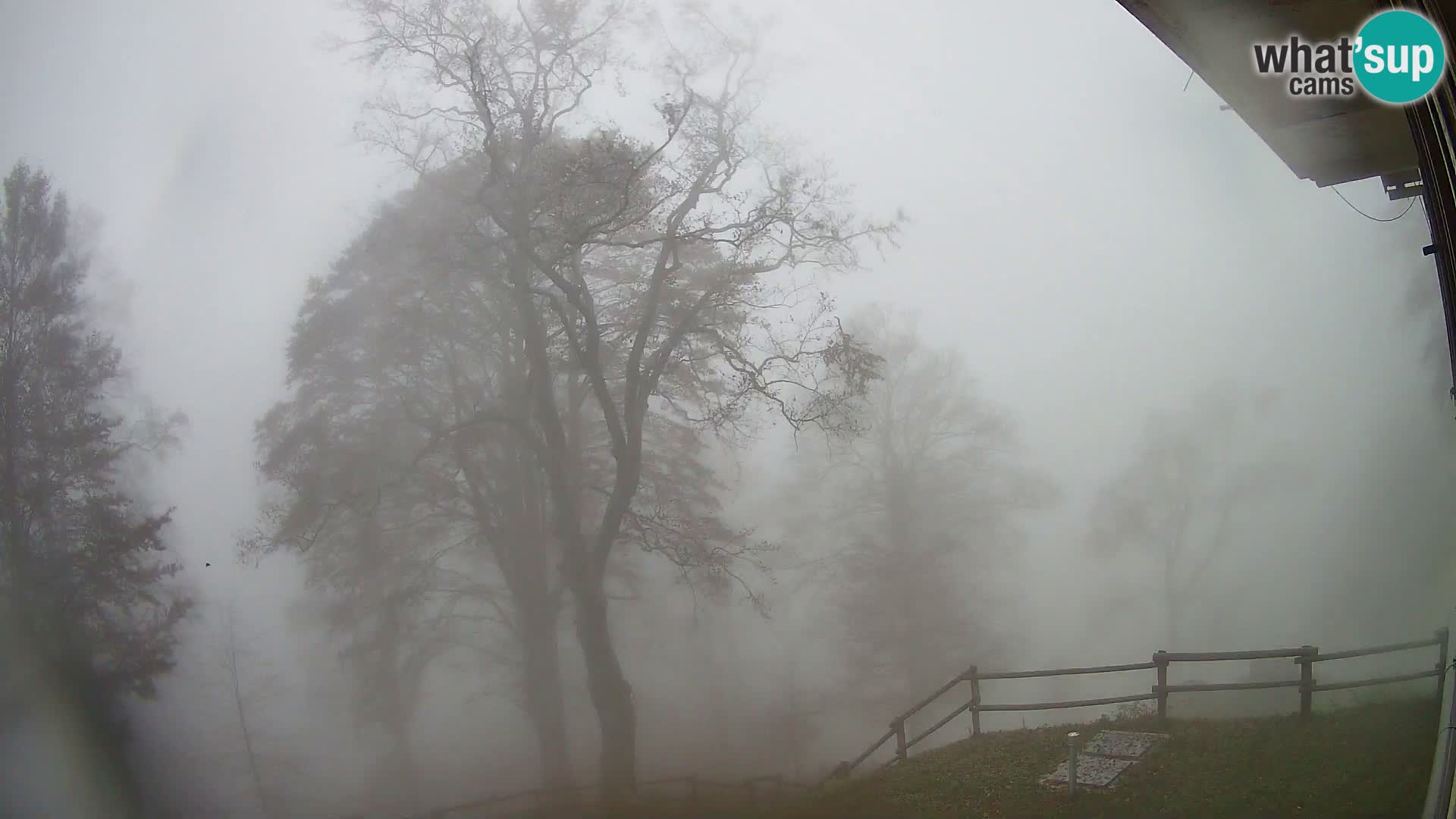Planina Razor Mountain Hut live cam (1315) | view to Tolminski Migovec