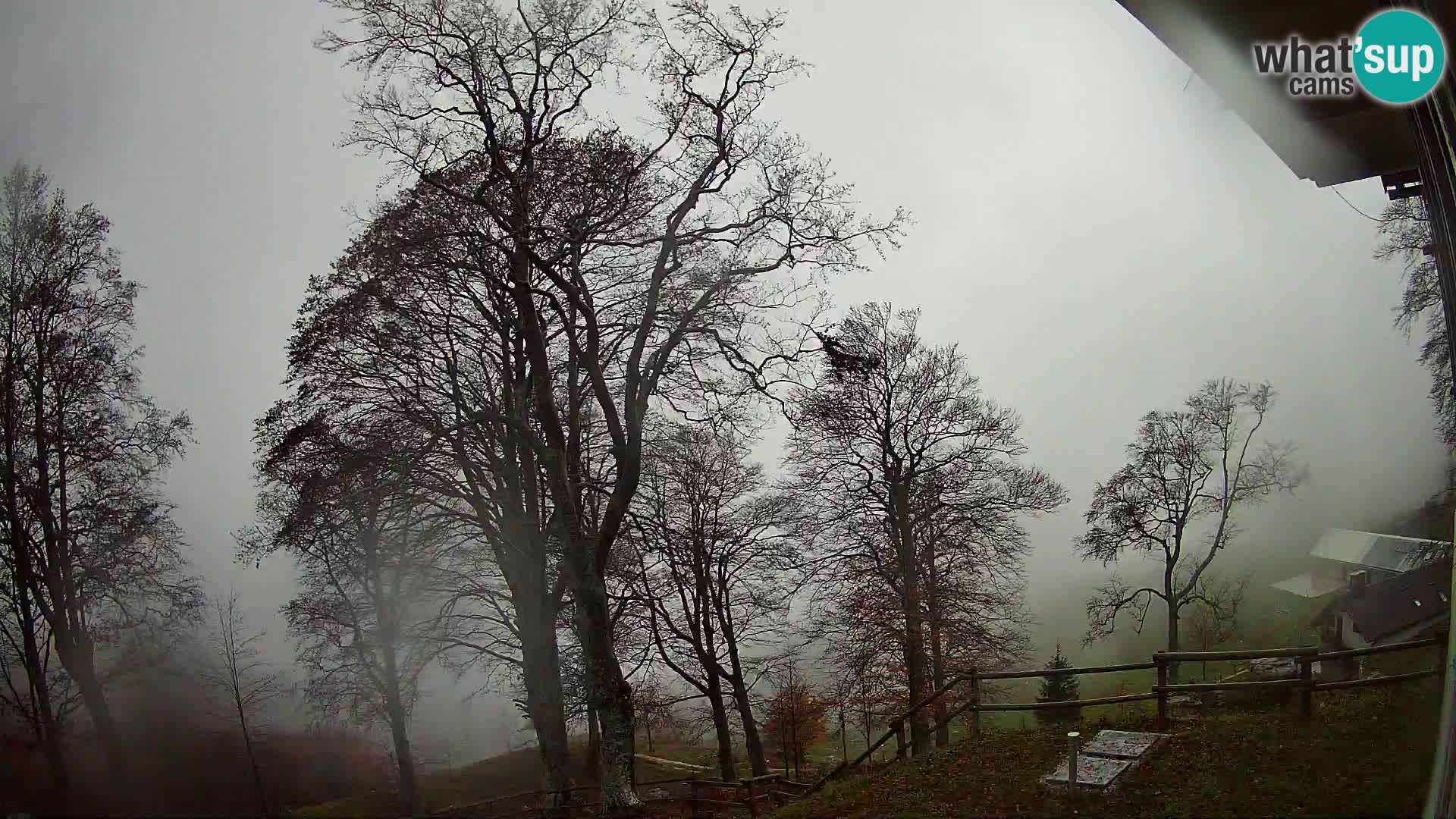 Planina Razor Mountain Hut live cam (1315) | view to Tolminski Migovec