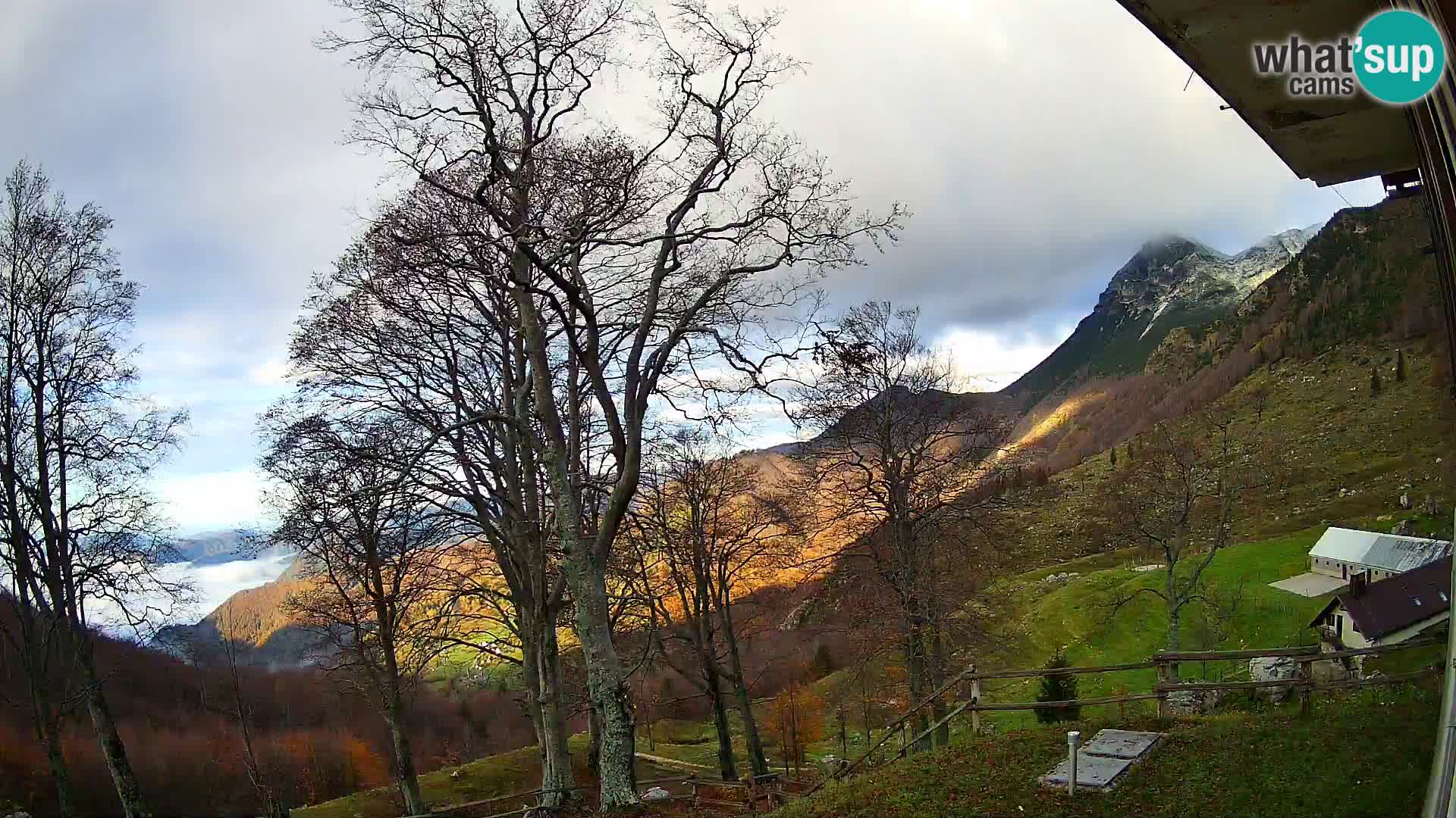 Planina Razor Bergütte Webcam (1315) | Blick auf Tolminski Migovec