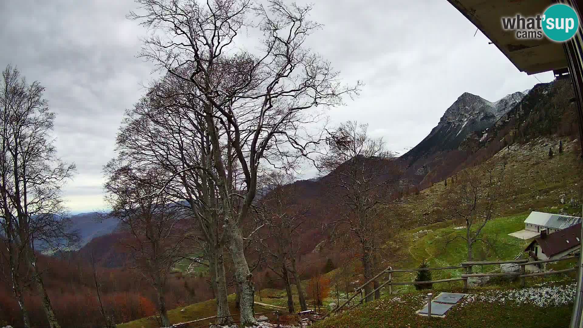 Planina Razor Bergütte Webcam (1315) | Blick auf Tolminski Migovec