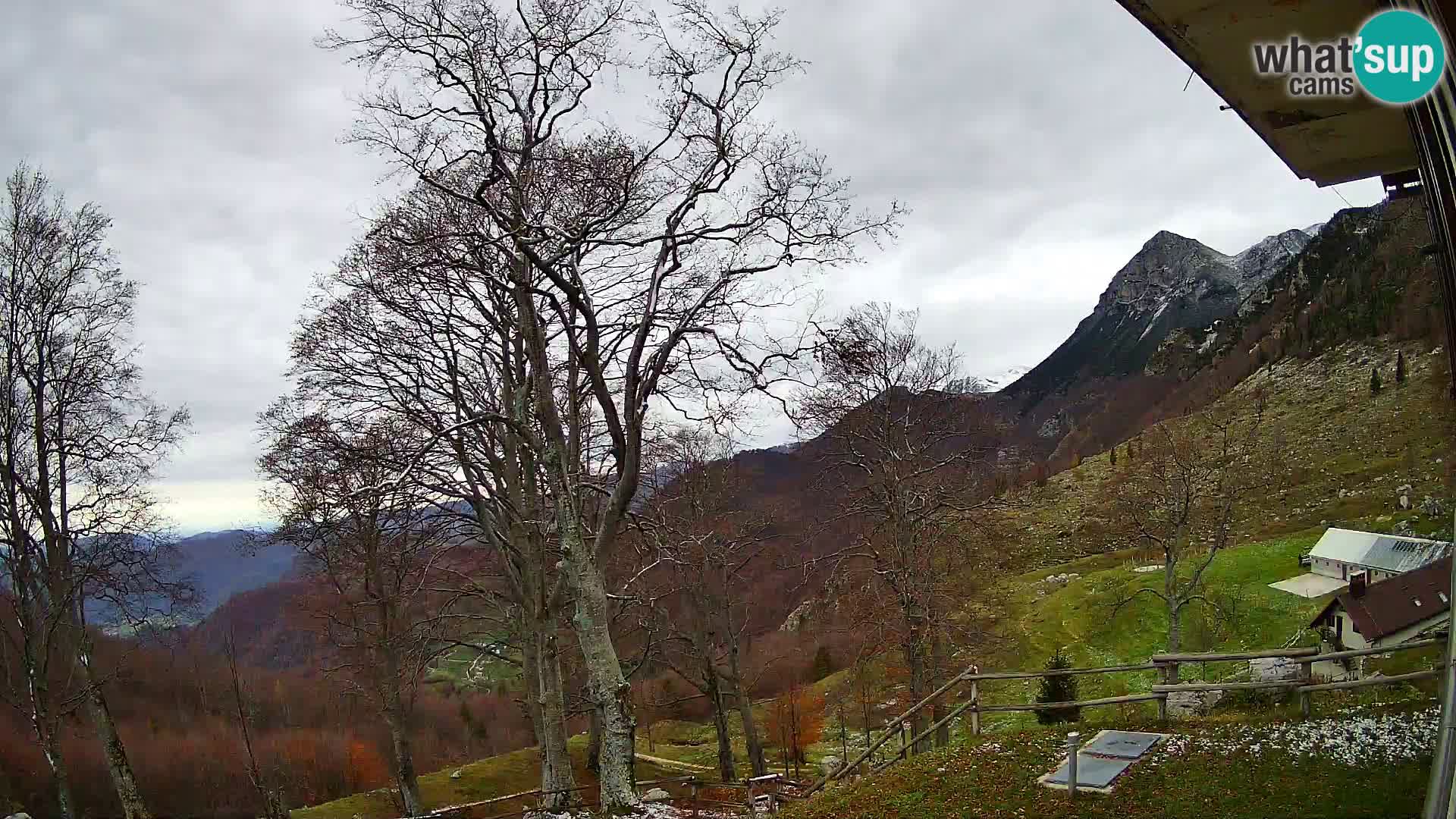 Planina Razor Bergütte Webcam (1315) | Blick auf Tolminski Migovec
